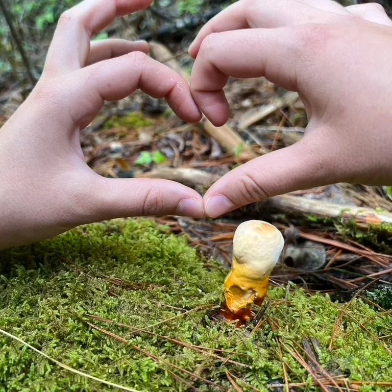 Fingers make the shape of a heart over a mushroom surrounded by lush moss at a screen-free outdoor camp for teens near Asheville, NC.