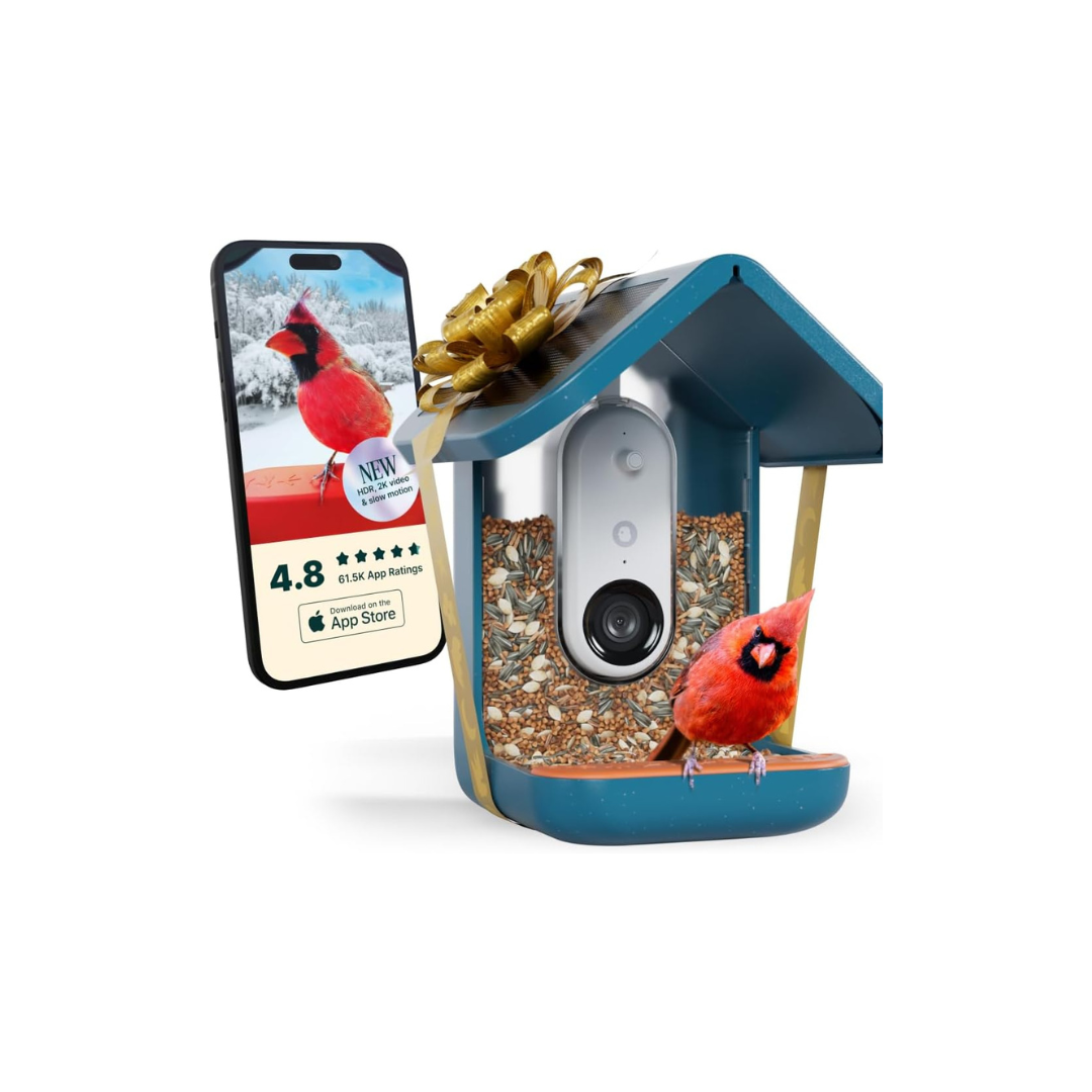 Solar Bird Feeder