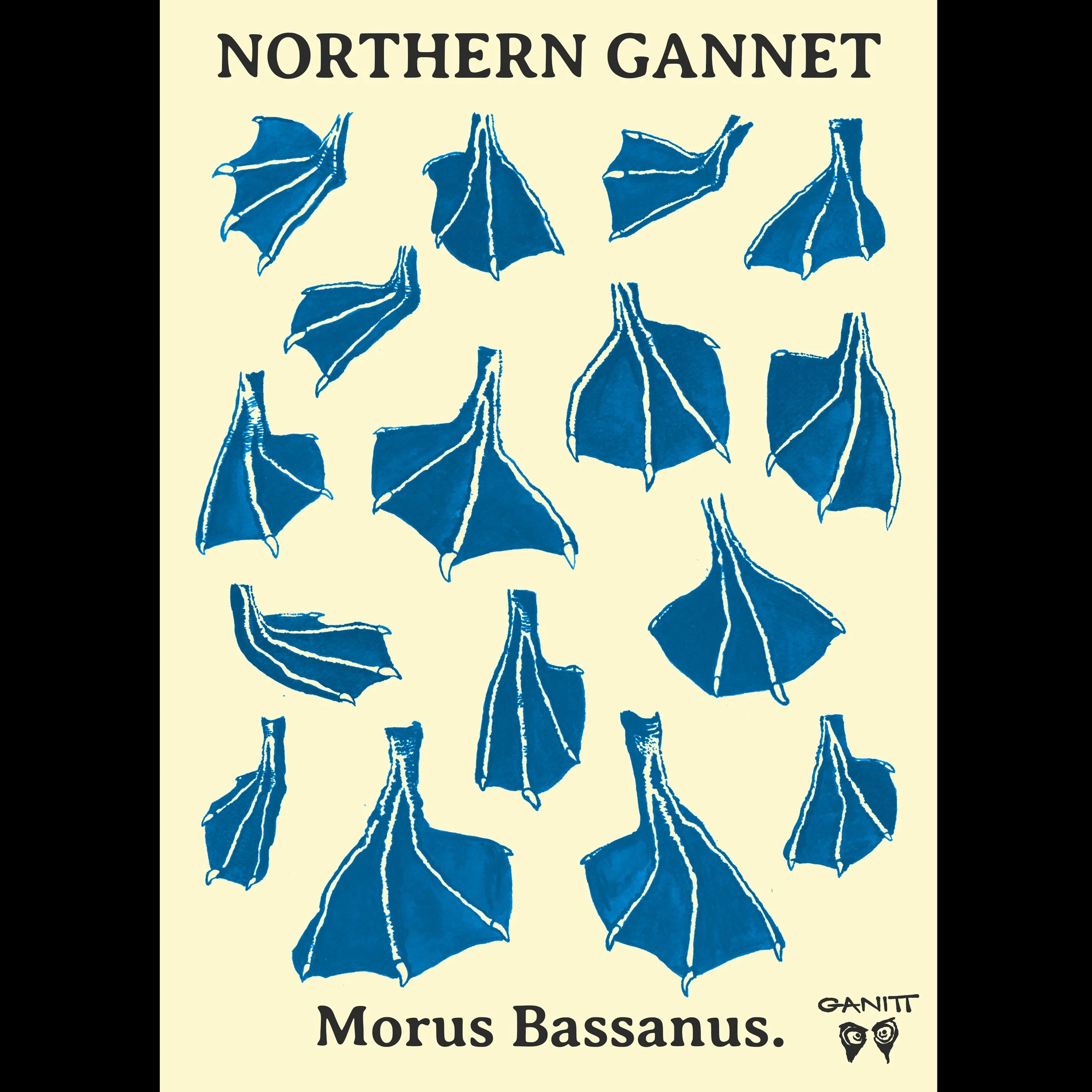 ganitt_northern_gannet_prints_webshop_offwhite_1a.jpg