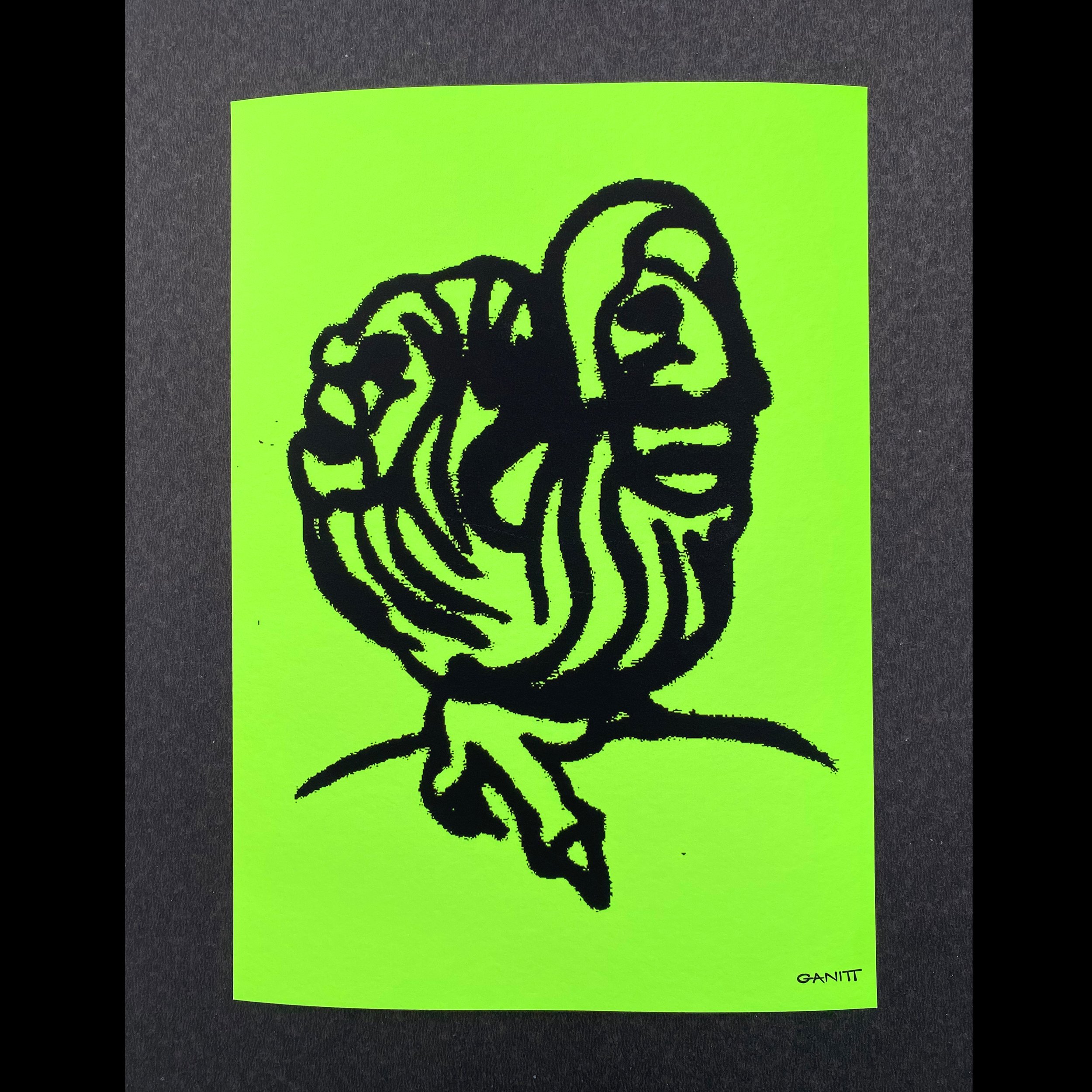 slugbird_1-1_photo.jpg