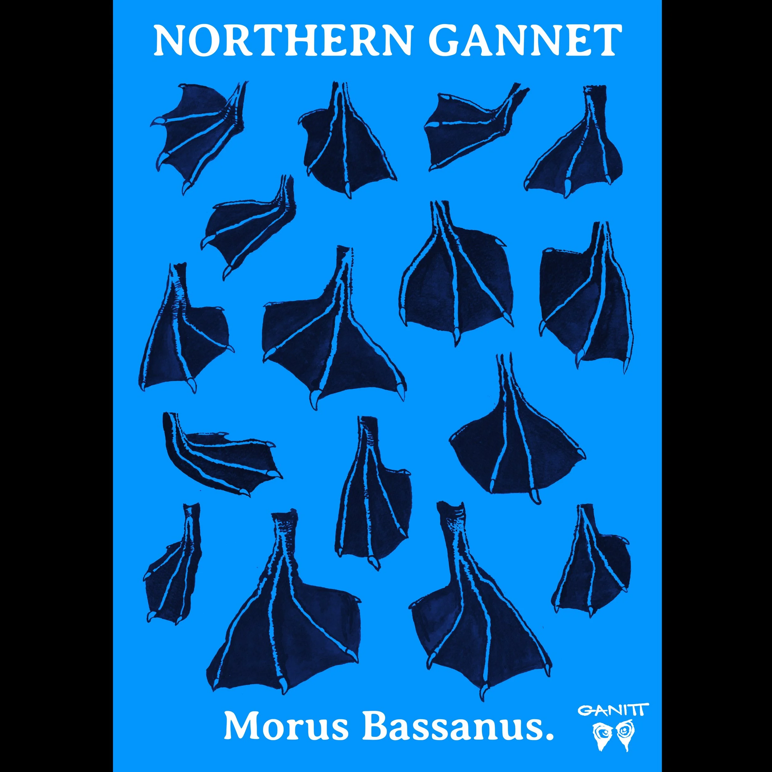 ganitt_northern_gannet_prints_webshop_blue_1b.jpg