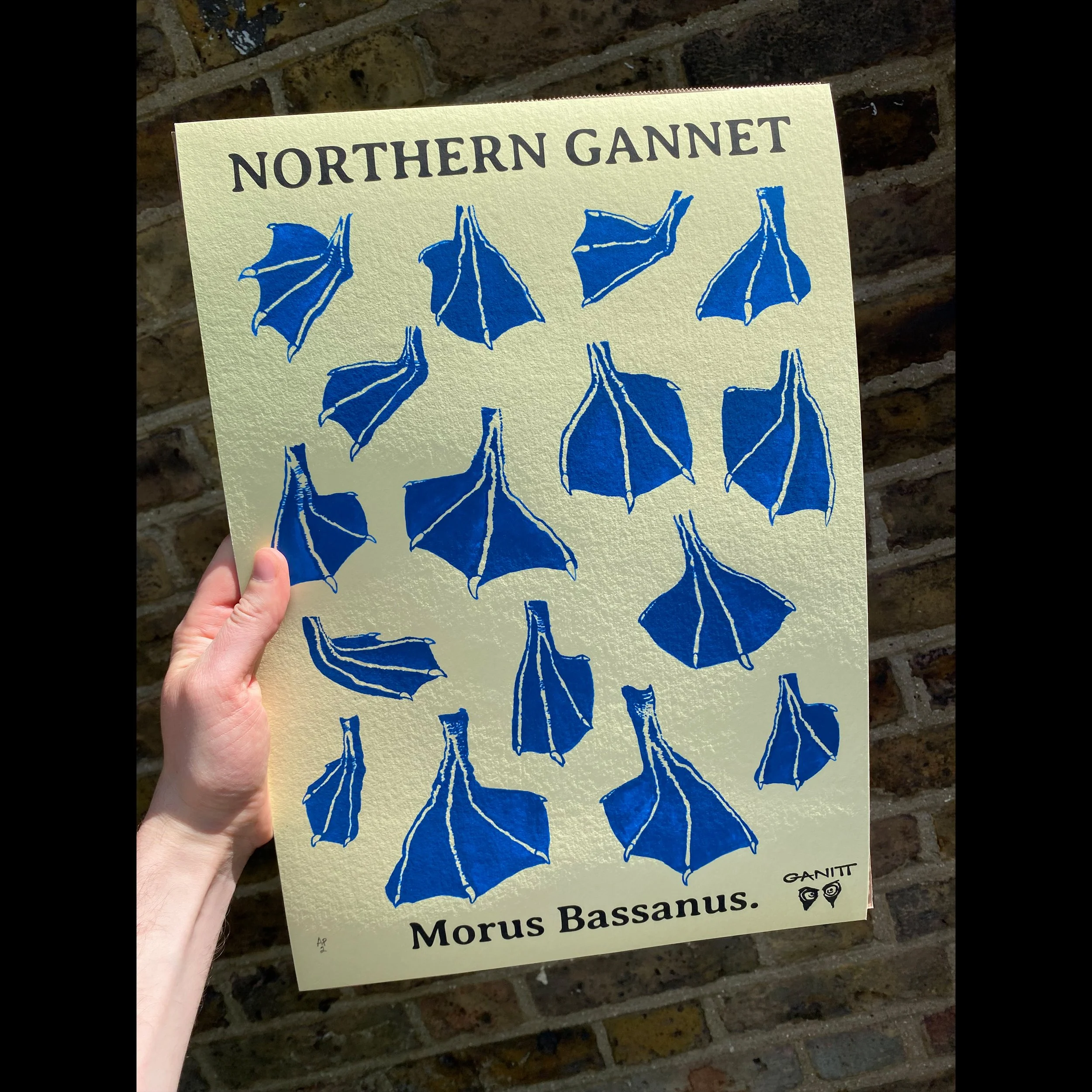 ganitt_northern_gannet_prints_webshop_offwhite.jpg