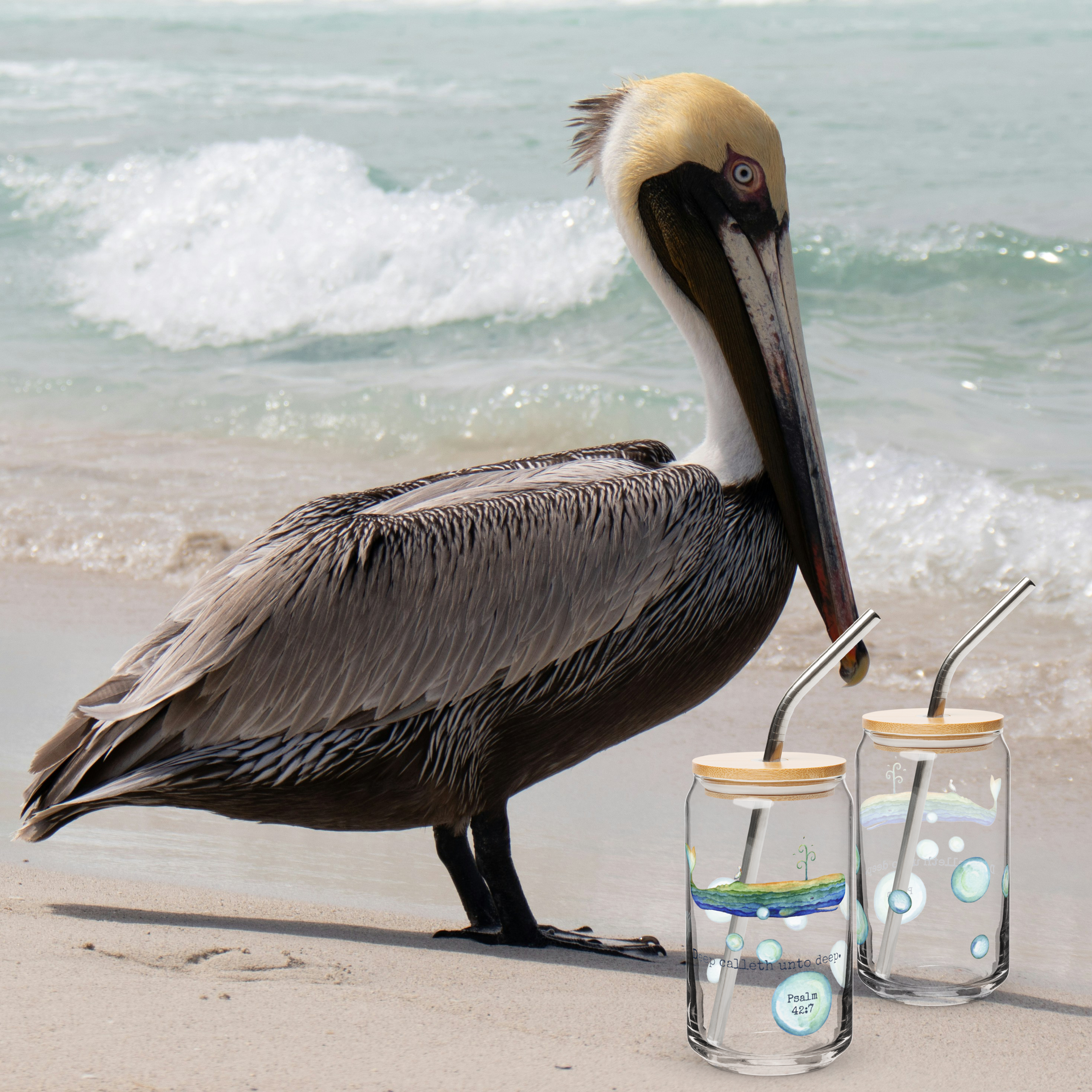 Bela the Whale Psalm 41-7 Glass Tumbler with Pelican.png