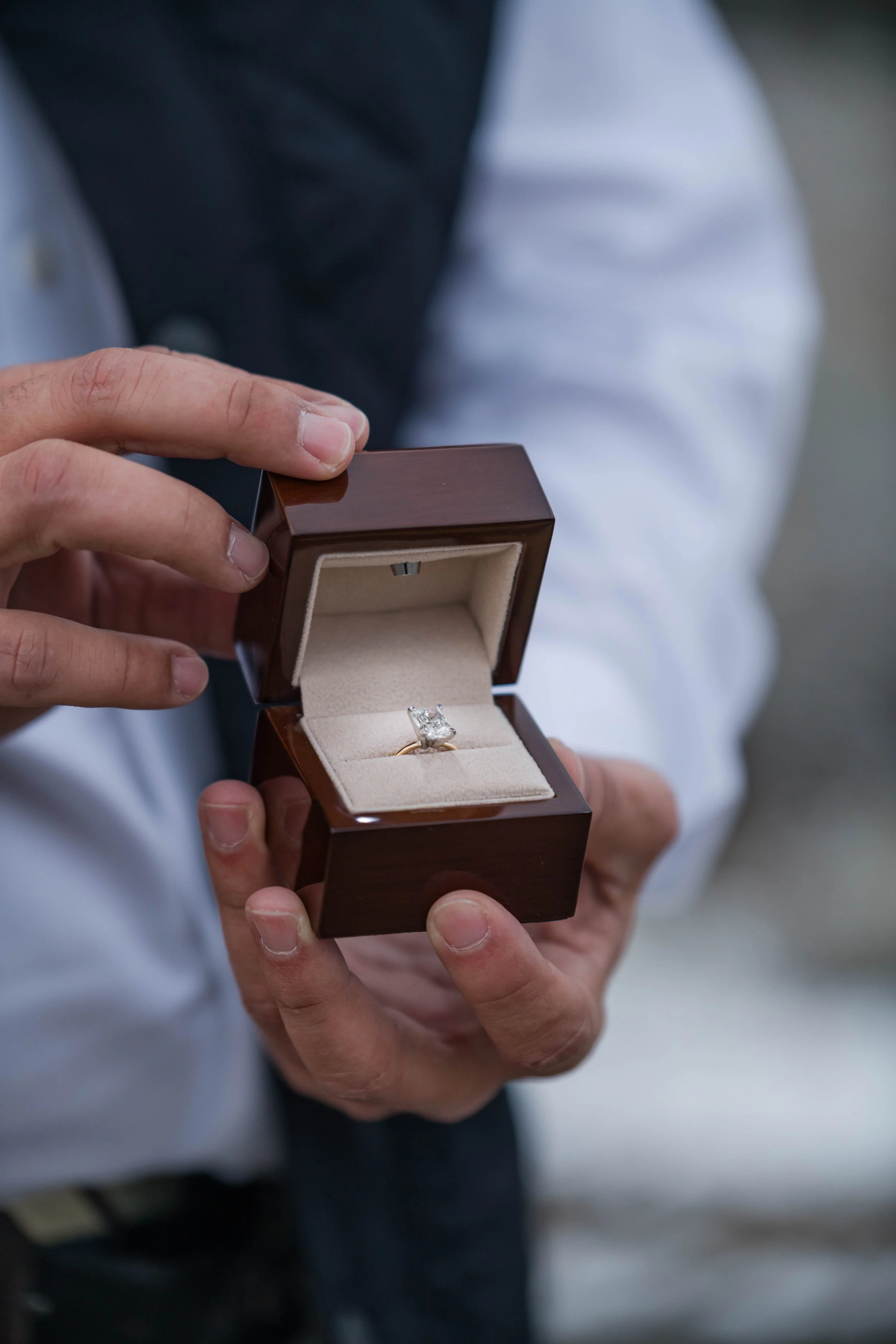 WinterSurpriseProposal4