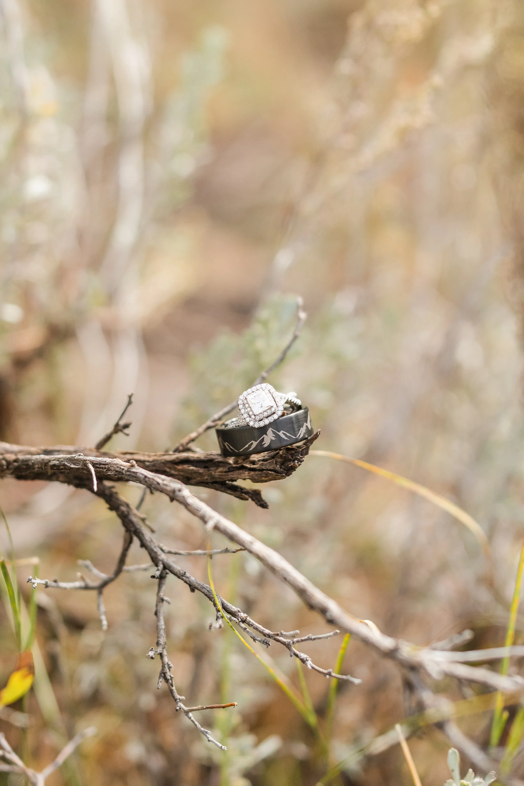 Wedding Bands posed in nature