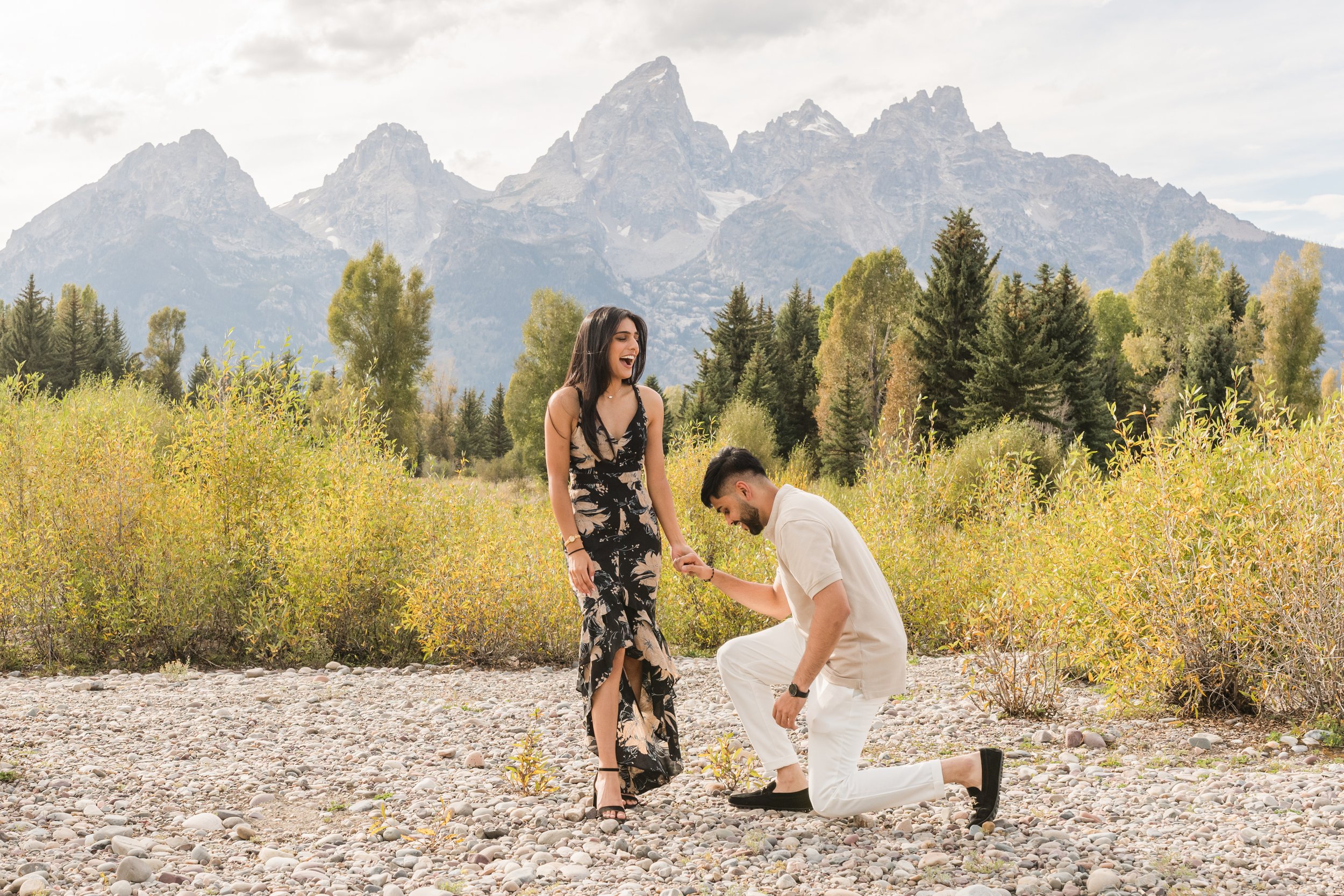 Proposal at Schwabacher's Landing