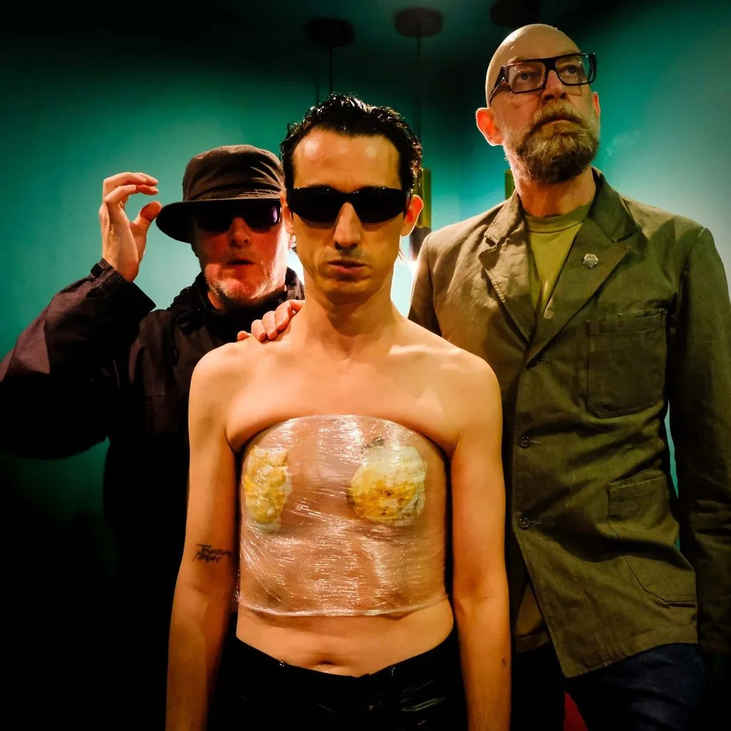 THE Moonlandingz