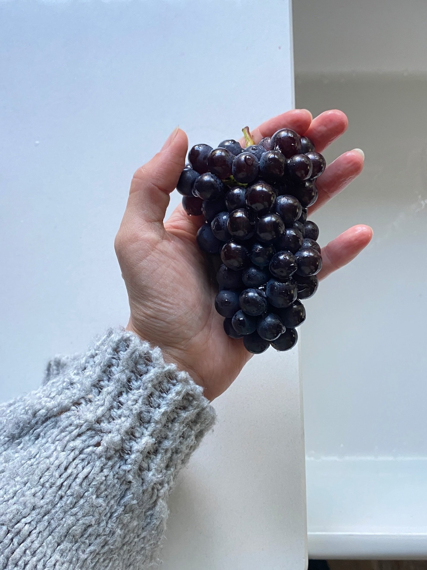 Our grape varieties.
Pinot Noir &mdash;> Chardonnay &mdash;> Pinot Meunier