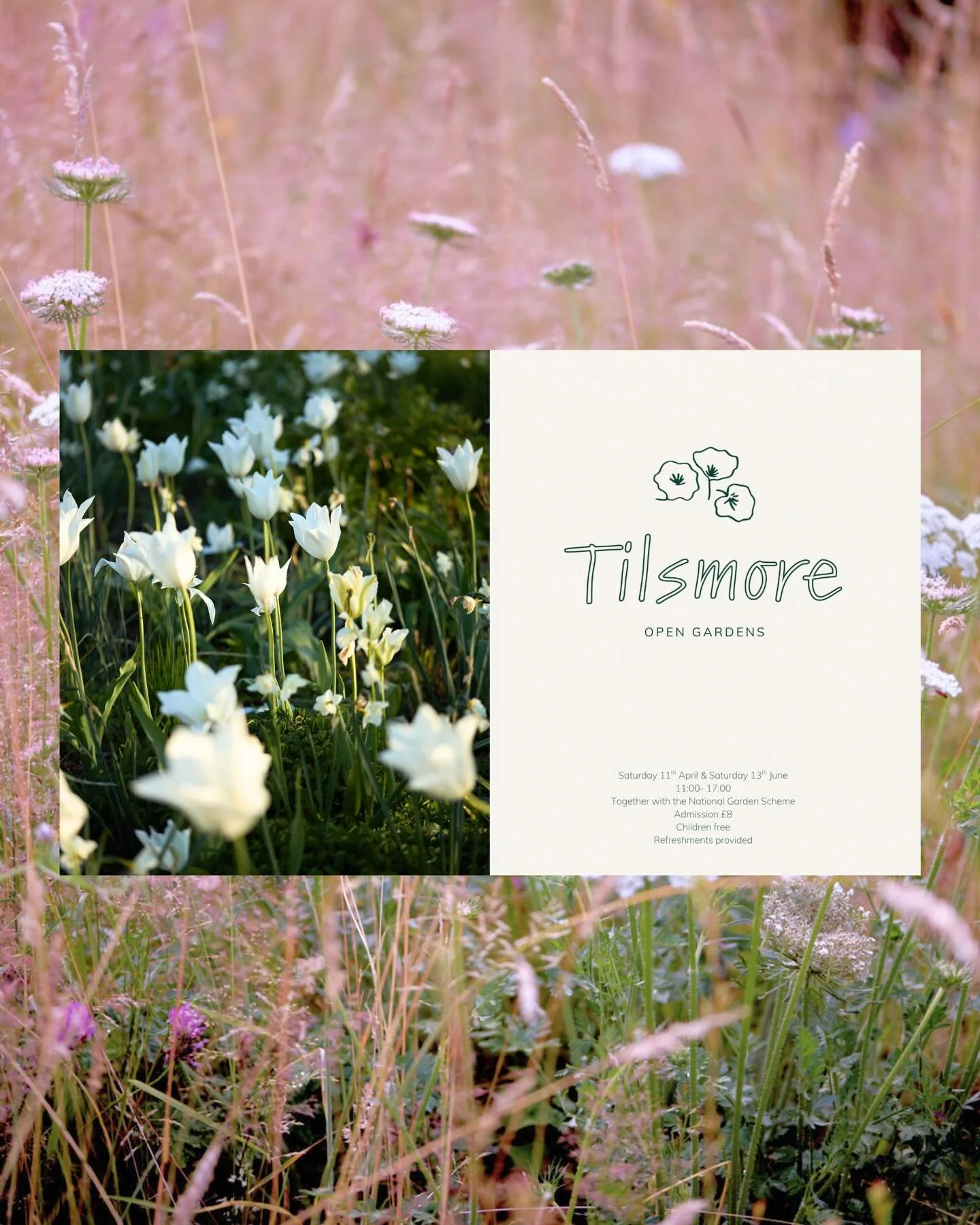 Come and visit our beautiful 2-acre garden on Saturday 11th April or Saturday 13th June in collaboration with the @nationalgardenscheme 
Set in a valley surrounded by wildflower meadows and ancient woodland, the garden features vibrant spring bulbs, 