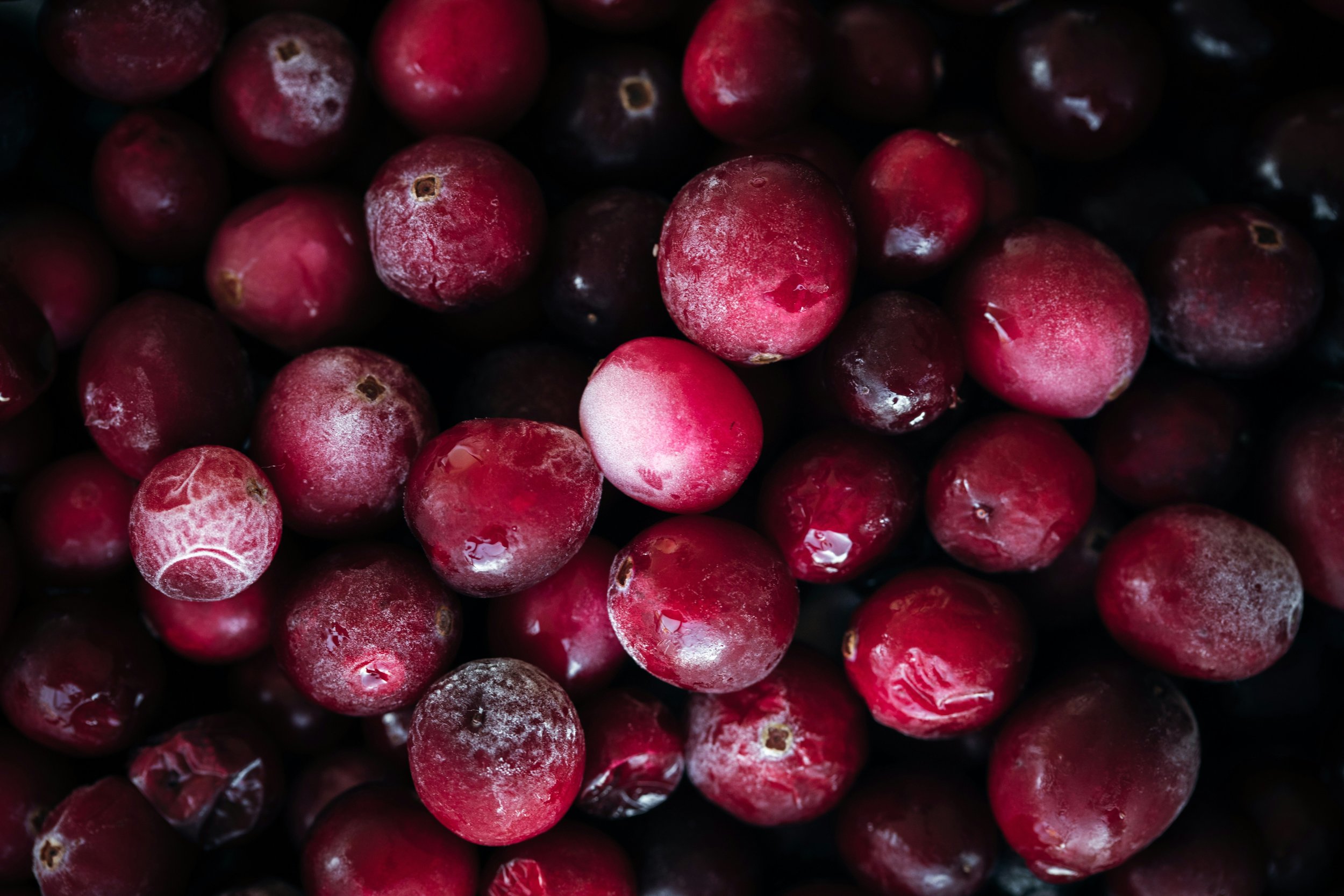 Cranberries_heather-barnes-gCmkY_c5lTg-unsplash.jpg