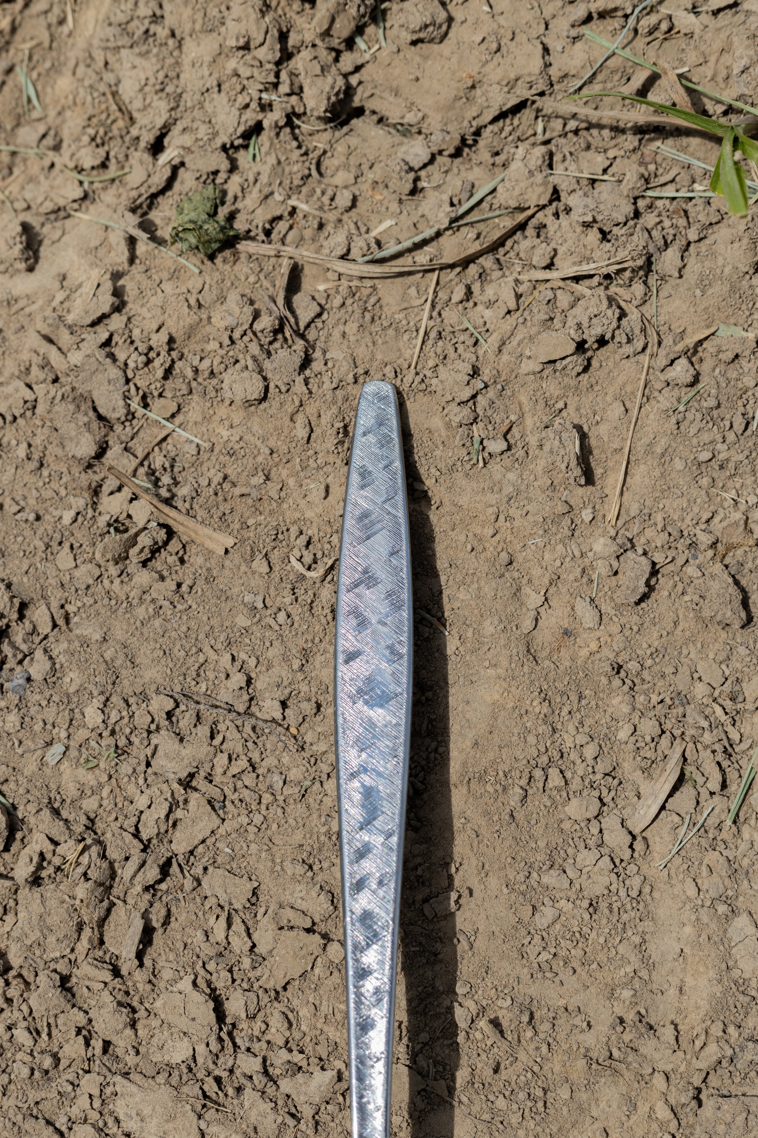 "EARTHWORM"