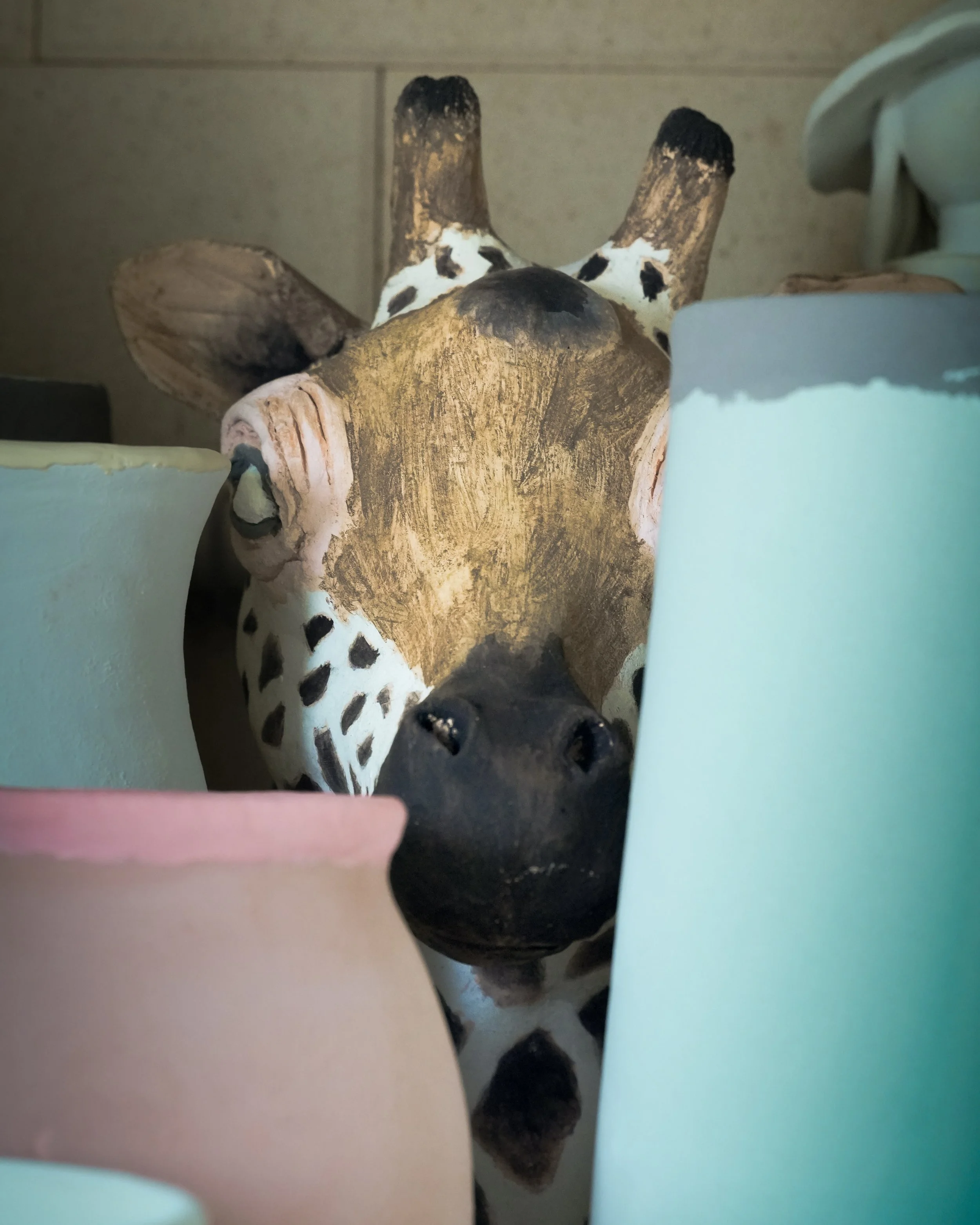 There&rsquo;s wildlife spotting... and then there&rsquo;s discovering a new sculpture hiding in the kiln.🦒

This is Dawn&rsquo;s giraffe, and the detail she has captured is simply beautiful. I think you&rsquo;ll agree she looks at home in her new su