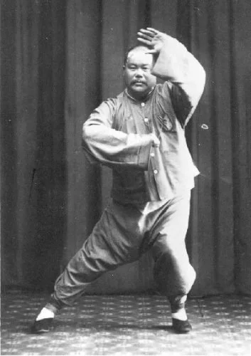 Yang Chengfu Long Form Movements: Part 2
