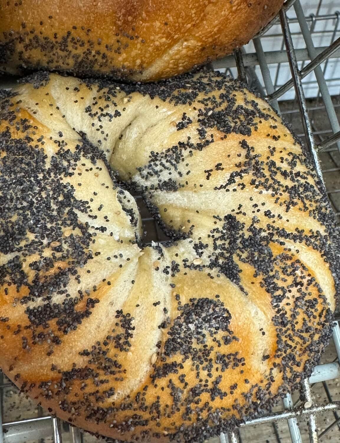 Poppyseed Bagel