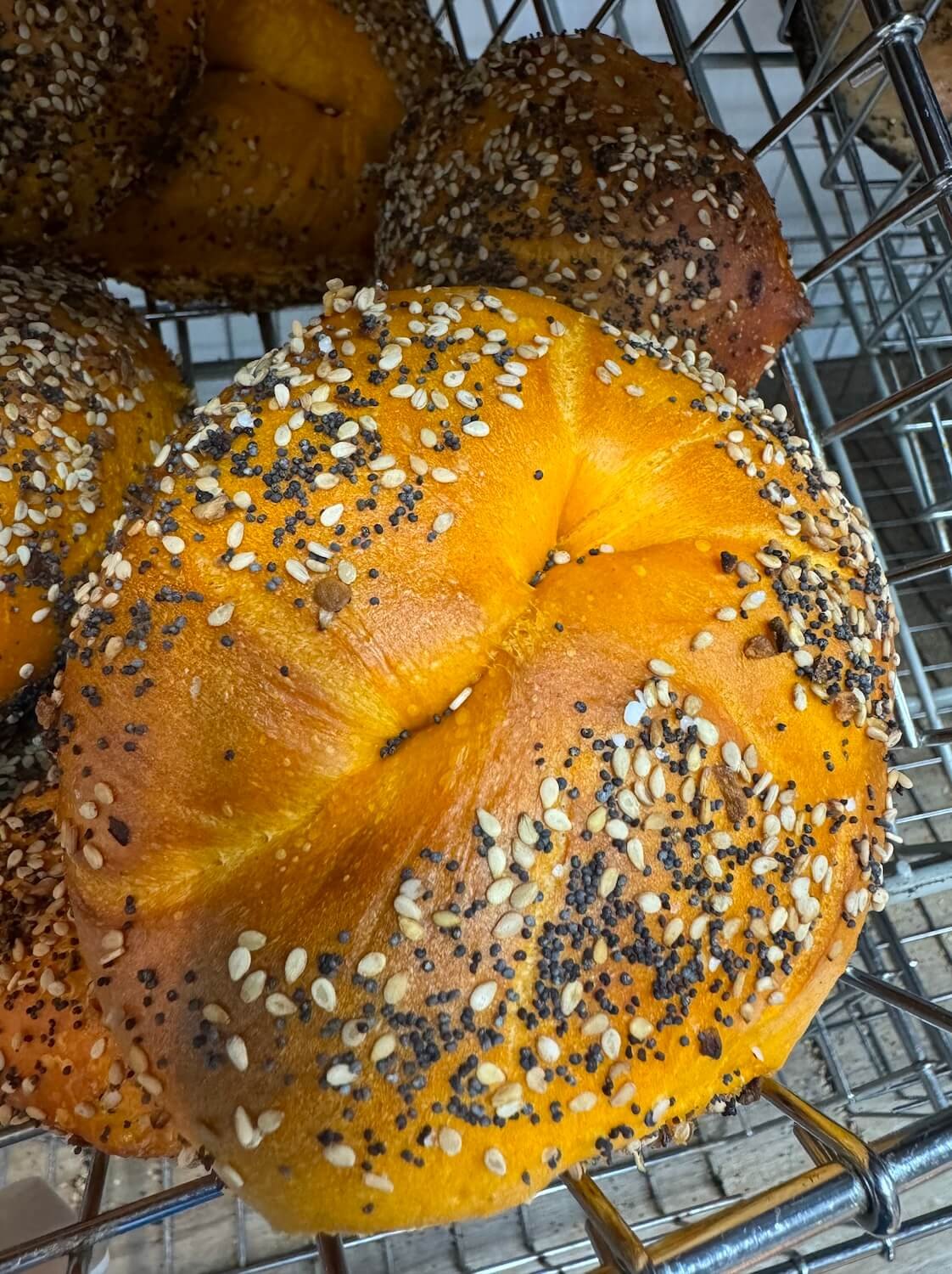 Egg Everything Bagel