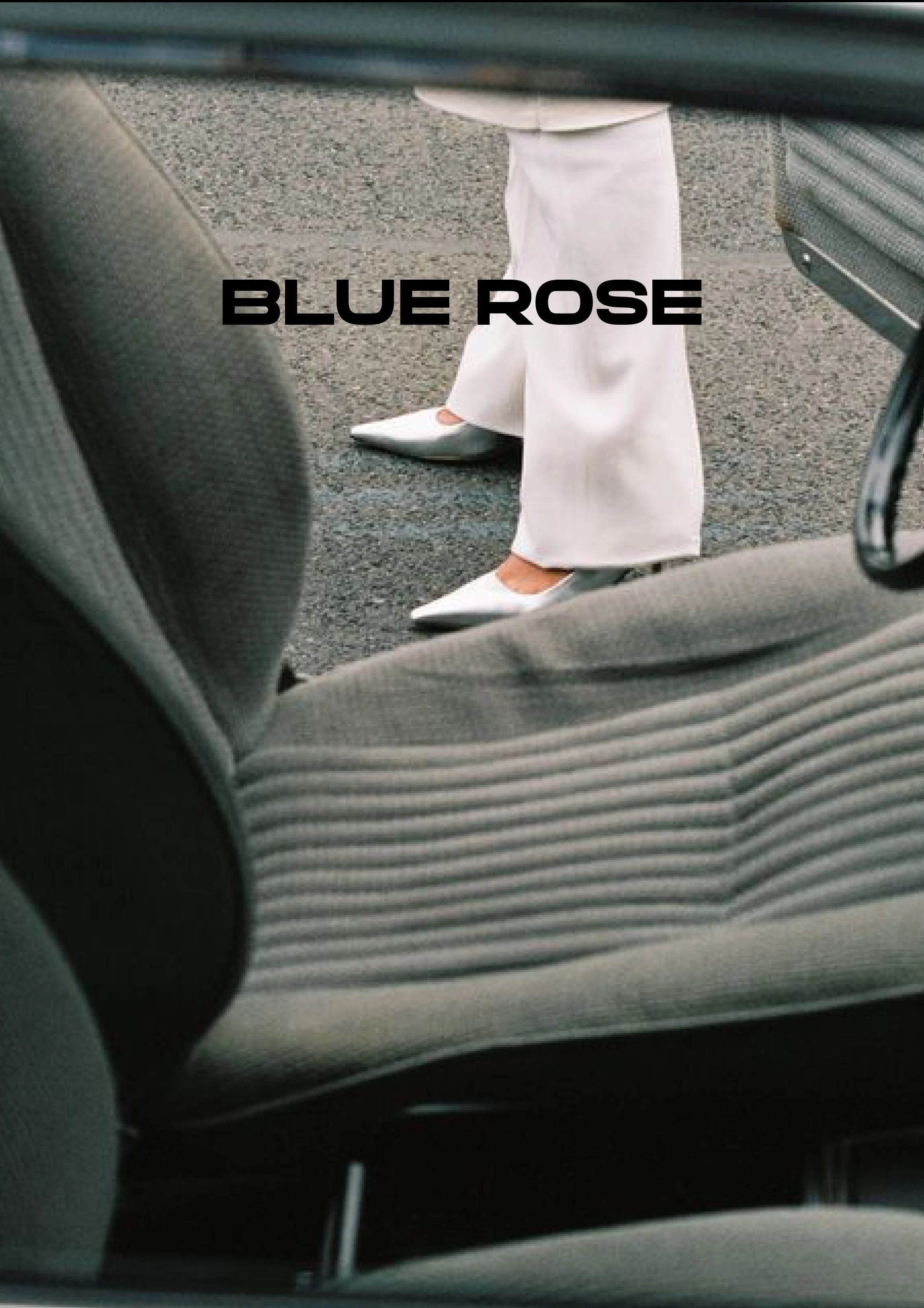 insta_BlueRose2.jpg