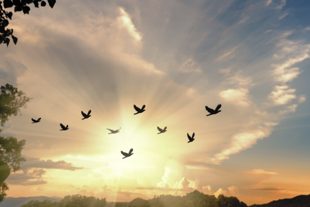 Do you value your Freedom?
