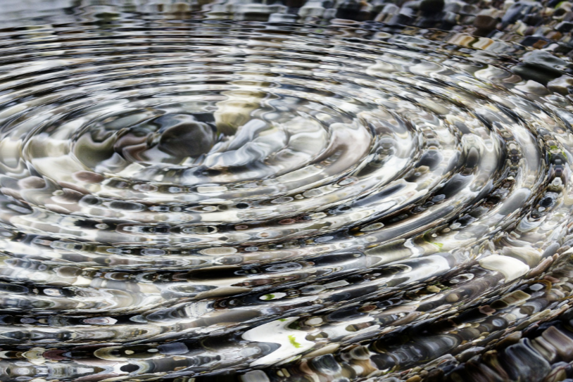 The Coaching Ripple Effect