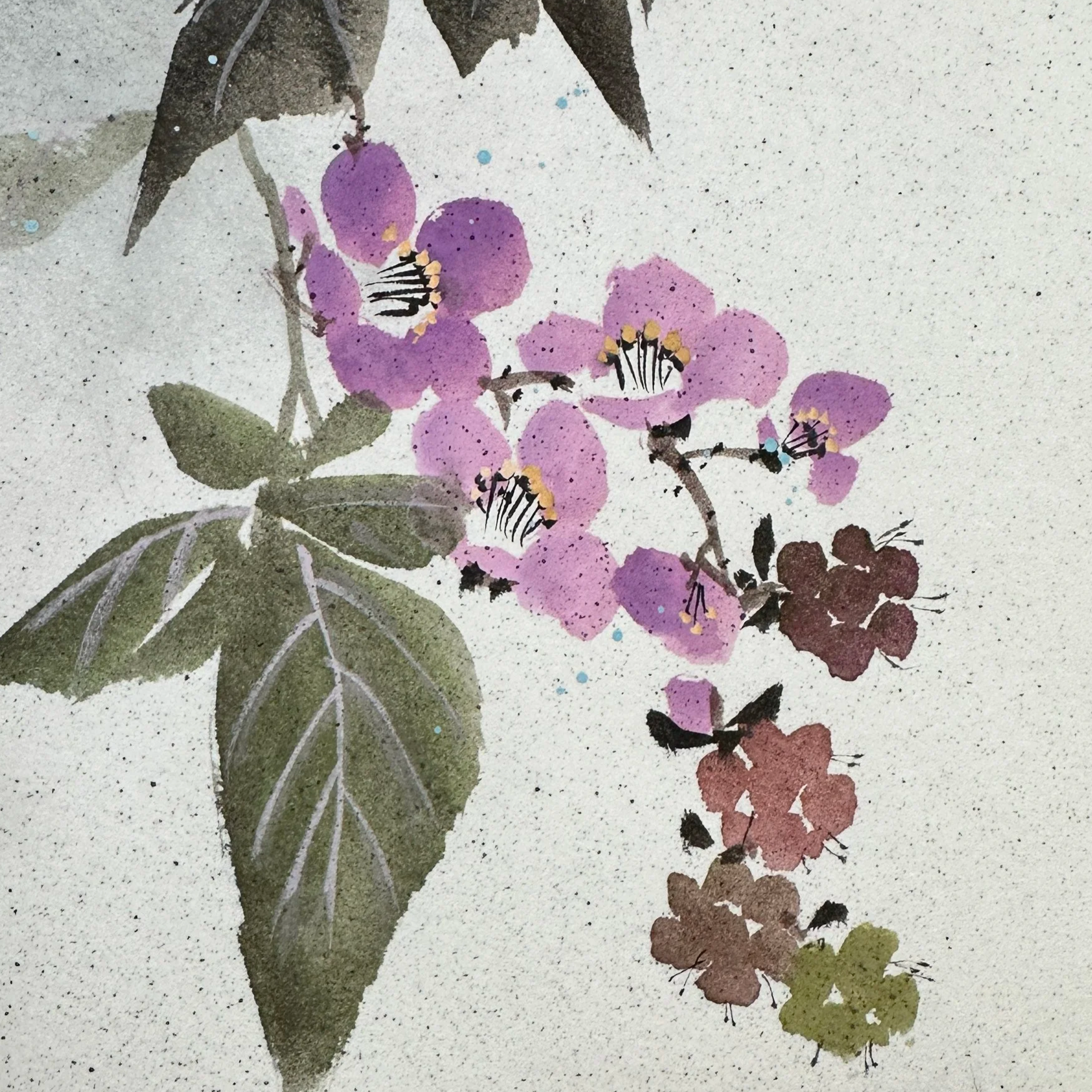 IMG_9650.png