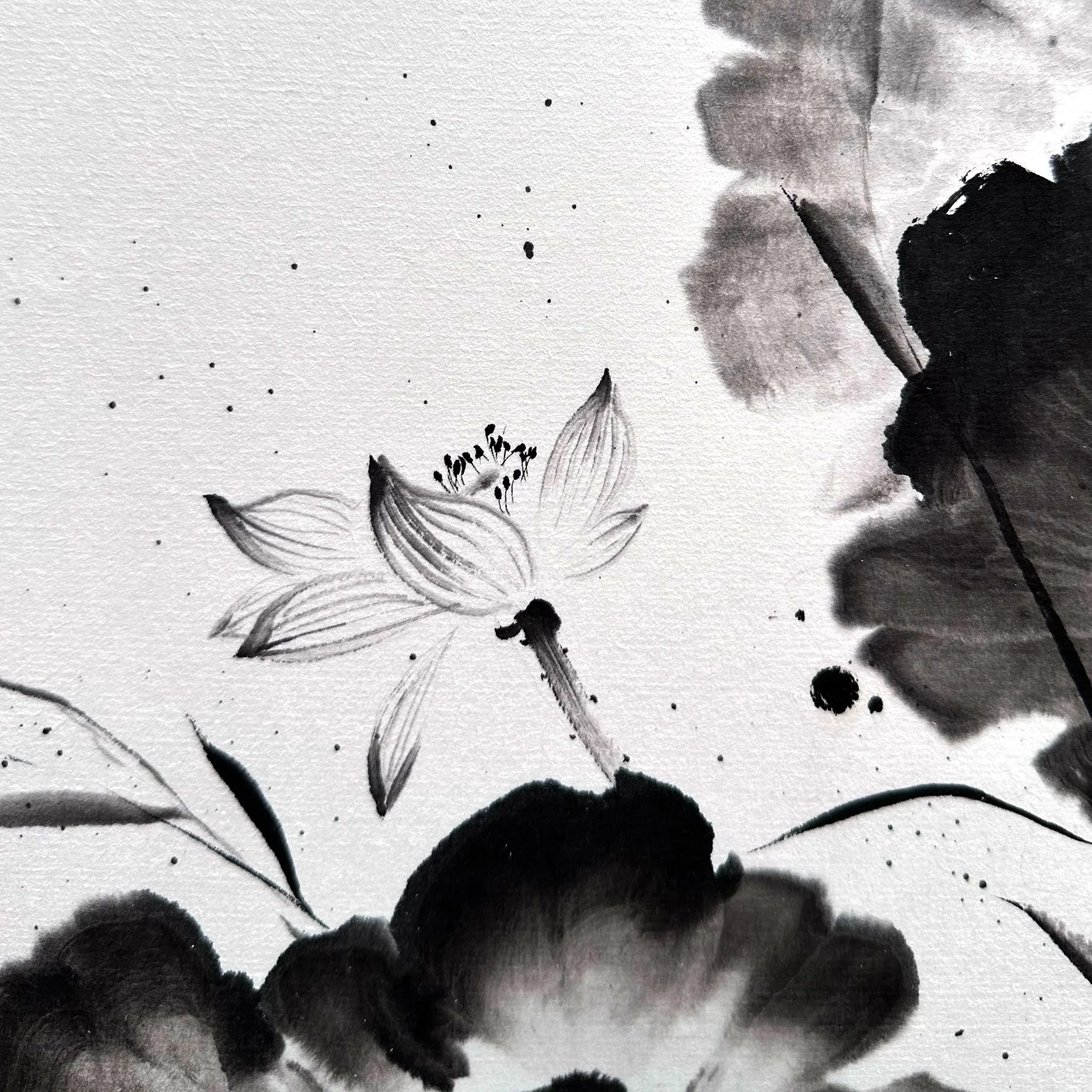 lotus-BW-03.jpg
