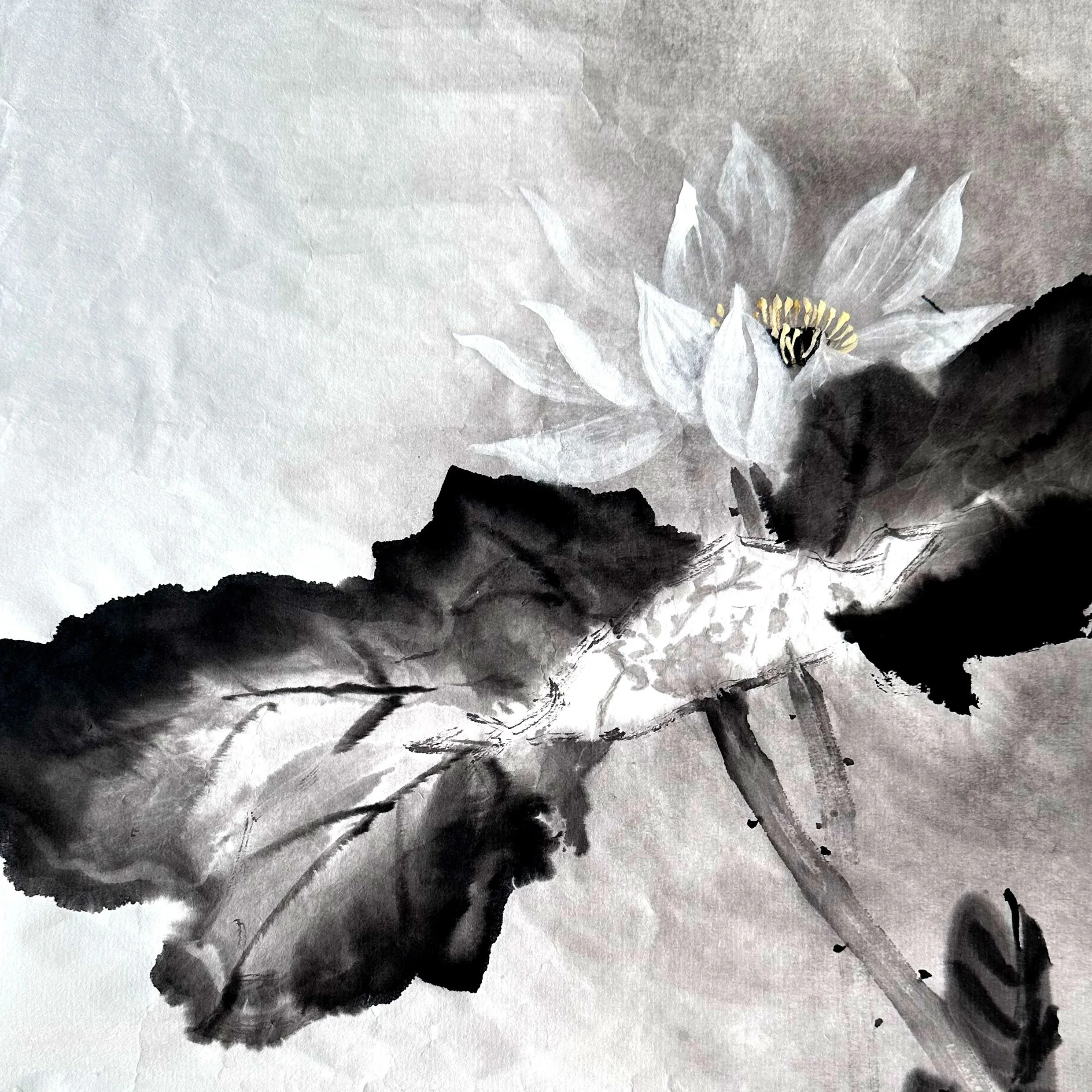 Lotus-BW-02.jpg