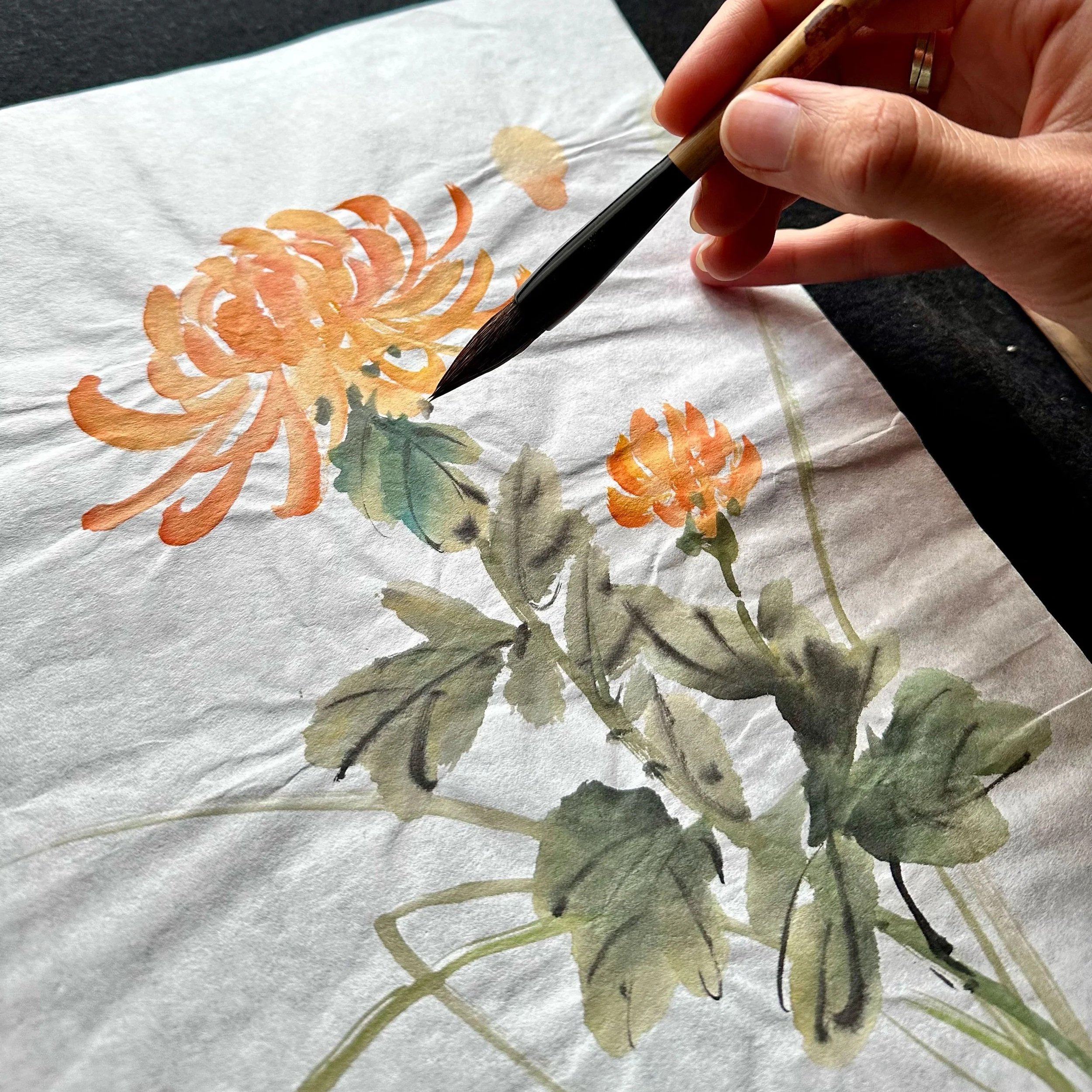 Chrysantheme-couleur-Web.jpg