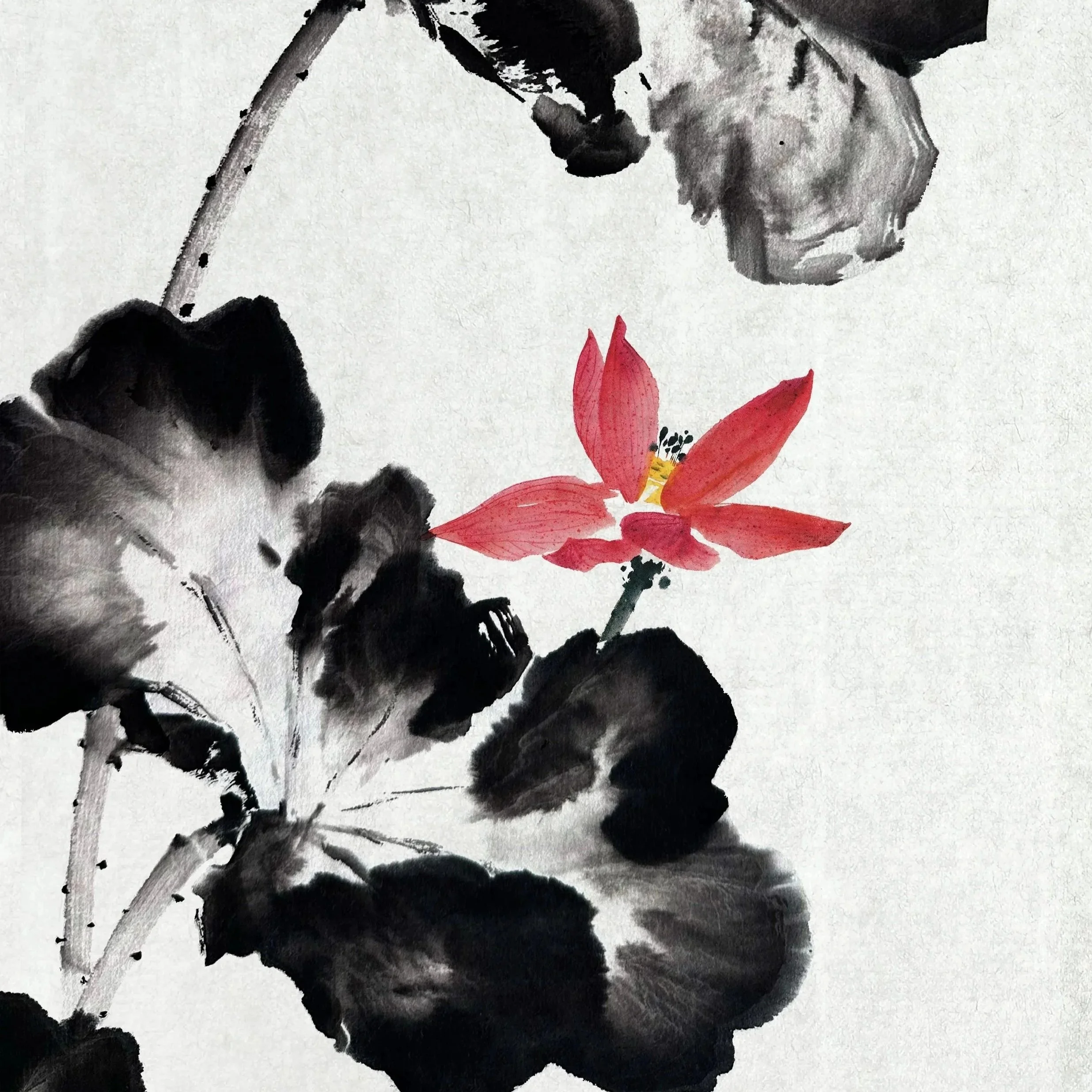 Lotus-color-02.jpg