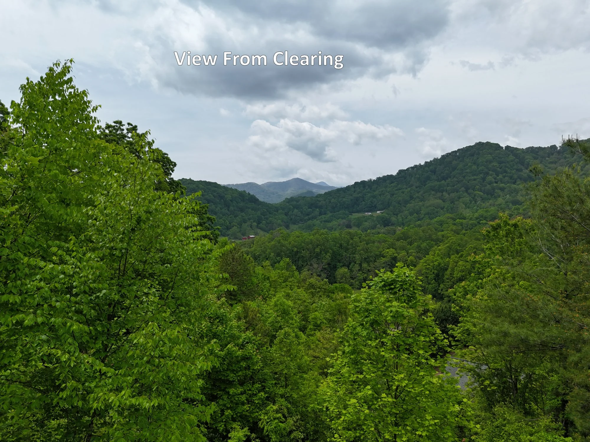 Clearing View.jpg