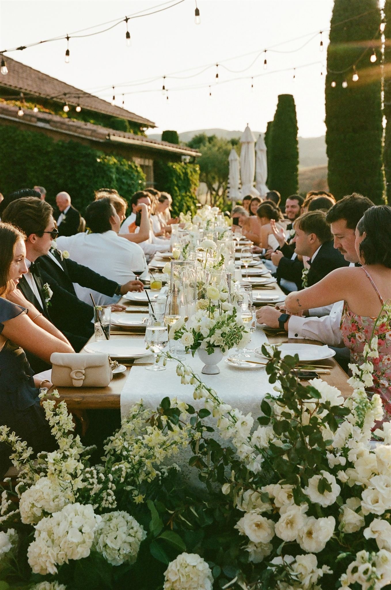 film-scans-sonoma-wedding-weekend-viansa-katie-keith-ashley-carlascio-photography-0008_websize.jpg