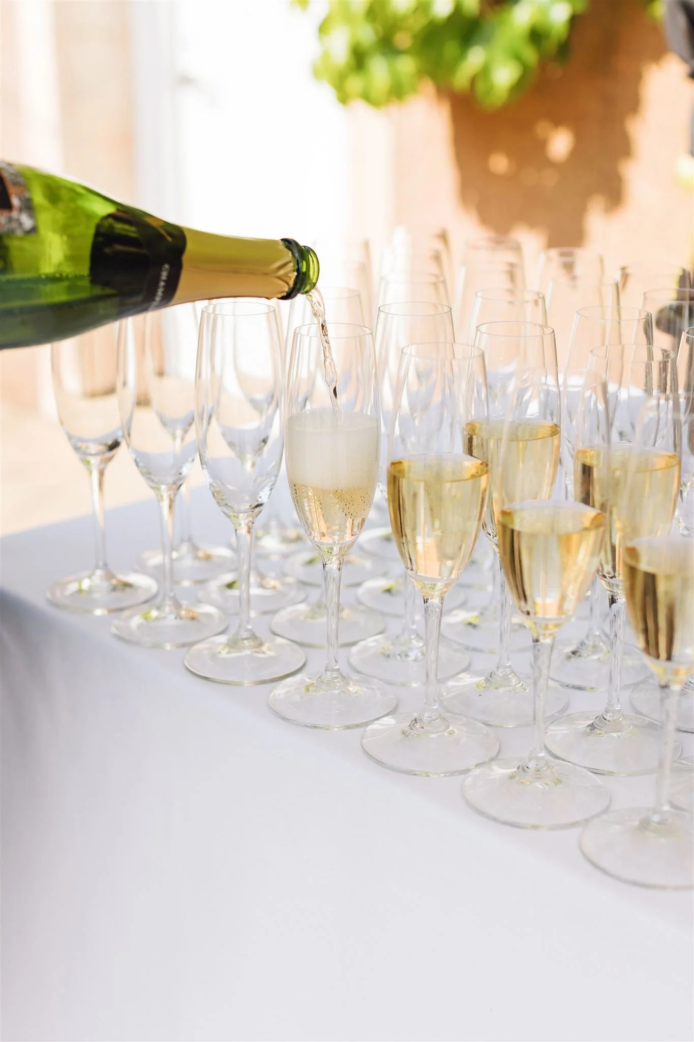 sonoma-wedding-weekend-viansa-katie-keith-ashley-carlascio-photography-0504_websize.jpg