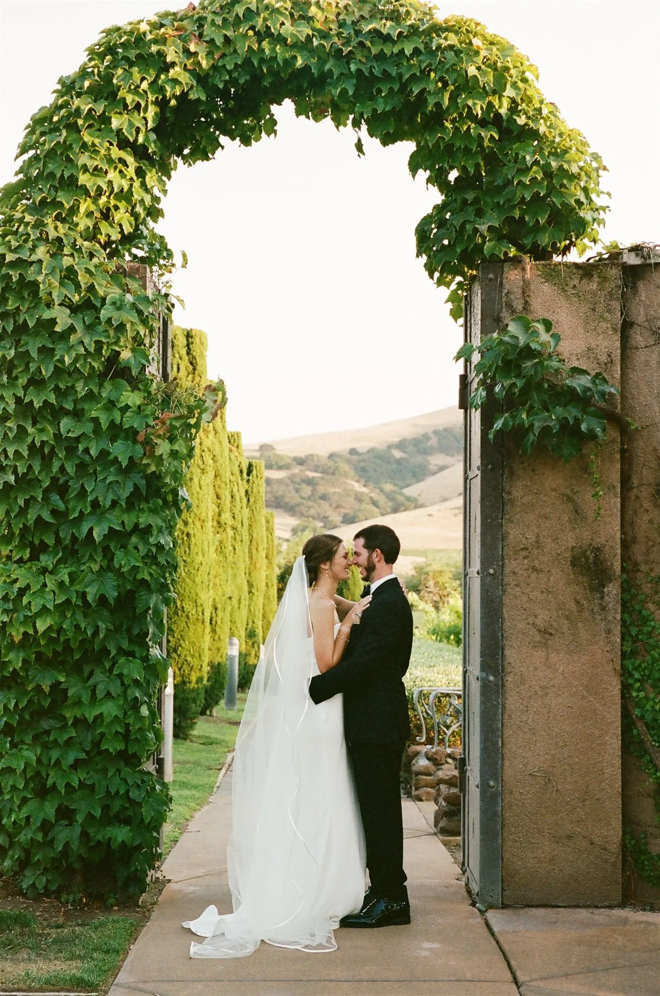 film-scans-sonoma-wedding-weekend-viansa-katie-keith-ashley-carlascio-photography-0010_websize.jpg