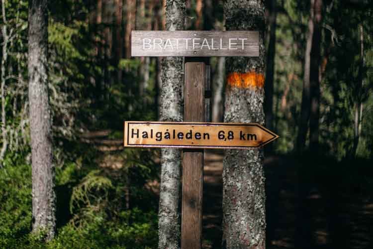 halgaleden brattfallet