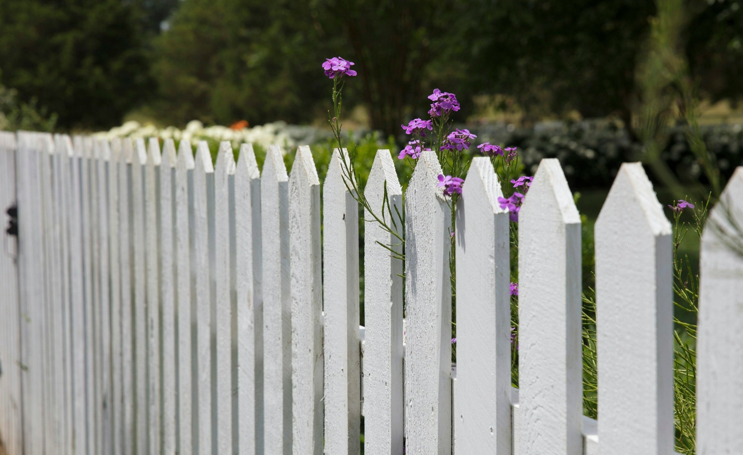 On the fence