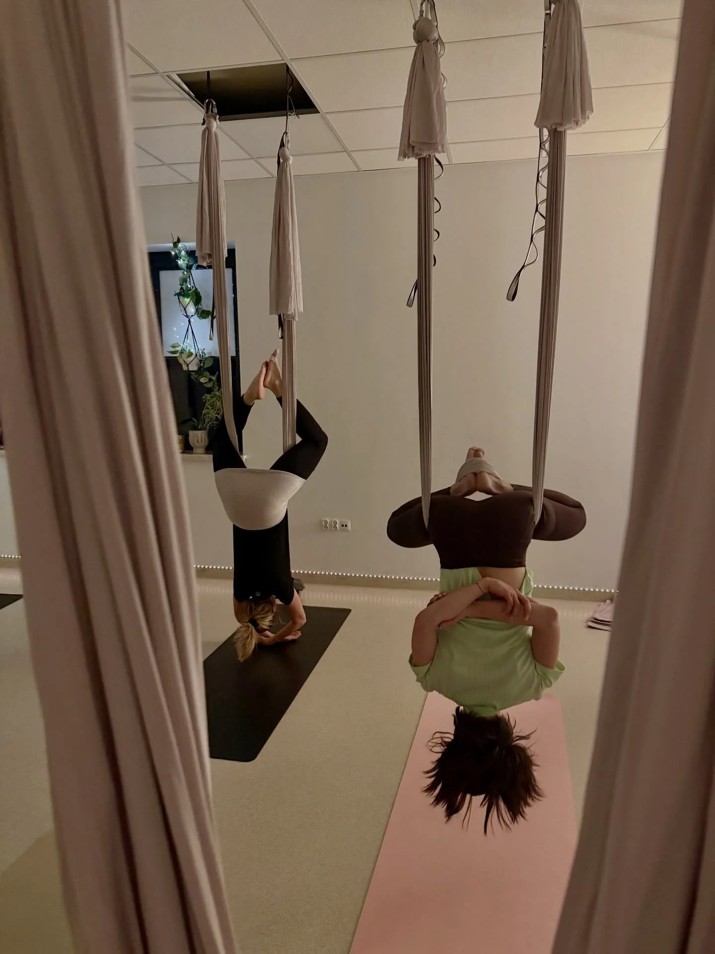 Poniedziałek, ale&hellip; do g&oacute;ry nogami 🙃

Kilka minut w chuście do jogi i nagle:
✨ kręgosłup oddycha
✨ ciało się wydłuża
✨ głowa się wycisza

Aerial joga ma w sobie coś magicznego &mdash; kiedy jesteś w inwersji, świat zwalnia, napięcia pus