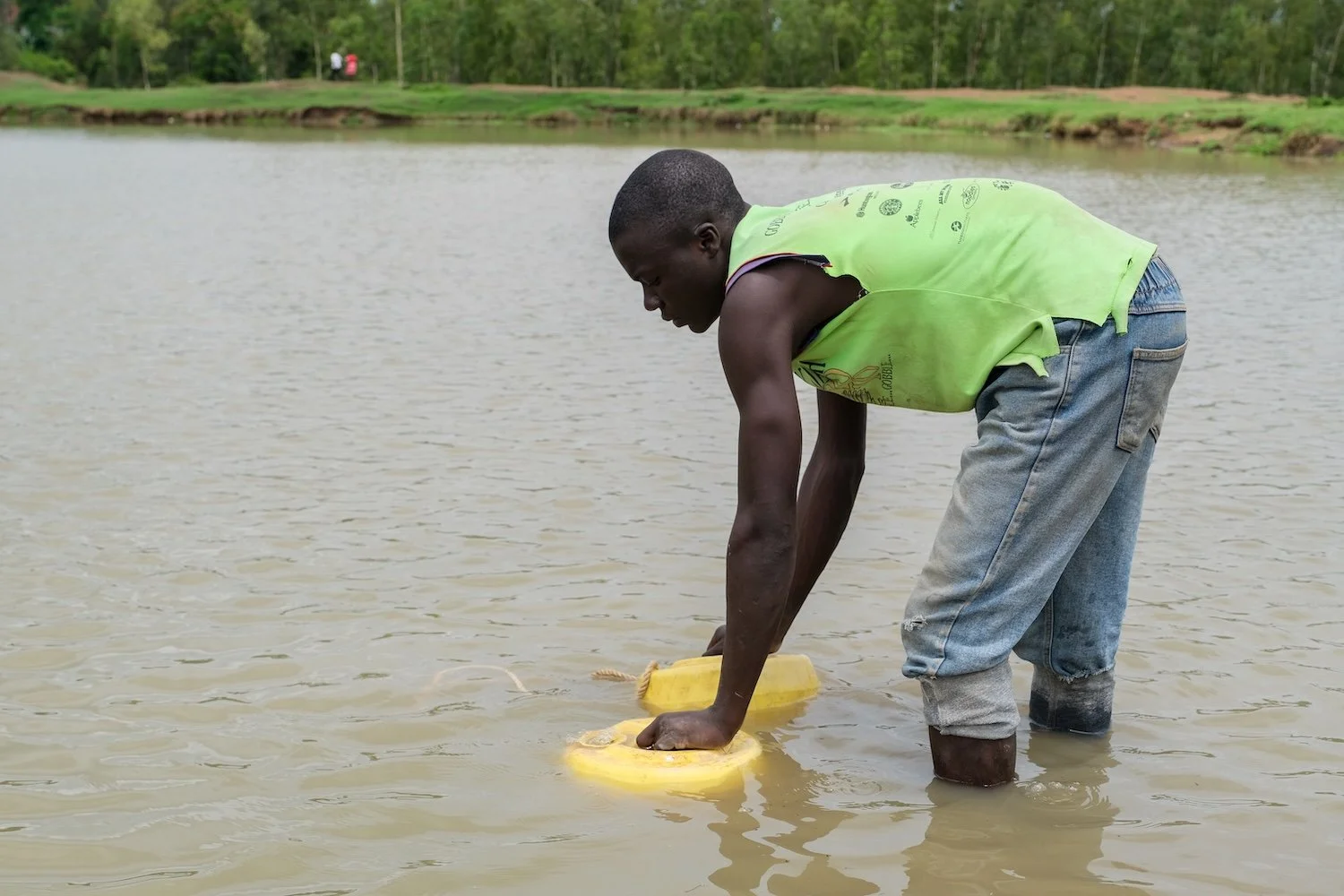 Water hole.jpg