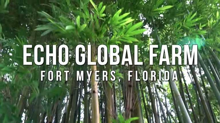 CHE TOT1 Training Fort Myers, Florida