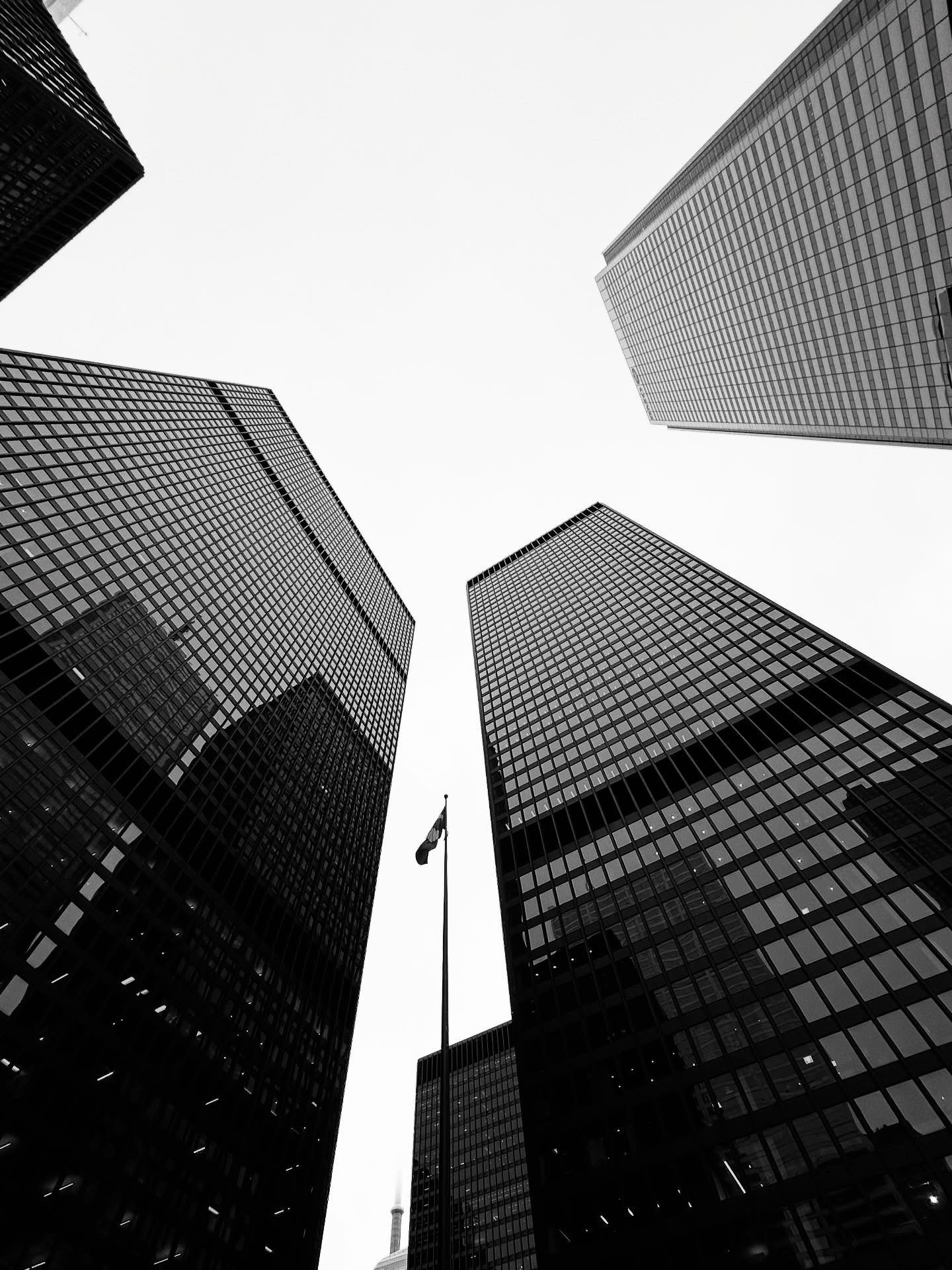 Toronto Dominion Centre, designed by Mies van der Rohe, 1969. Some of my favourite buildings in Toronto, though I can&rsquo;t stand that the new TD building blocks the view of the CN Tower from the plaza.
.
#torontoarchitecture #mies #miesvanderrohe 