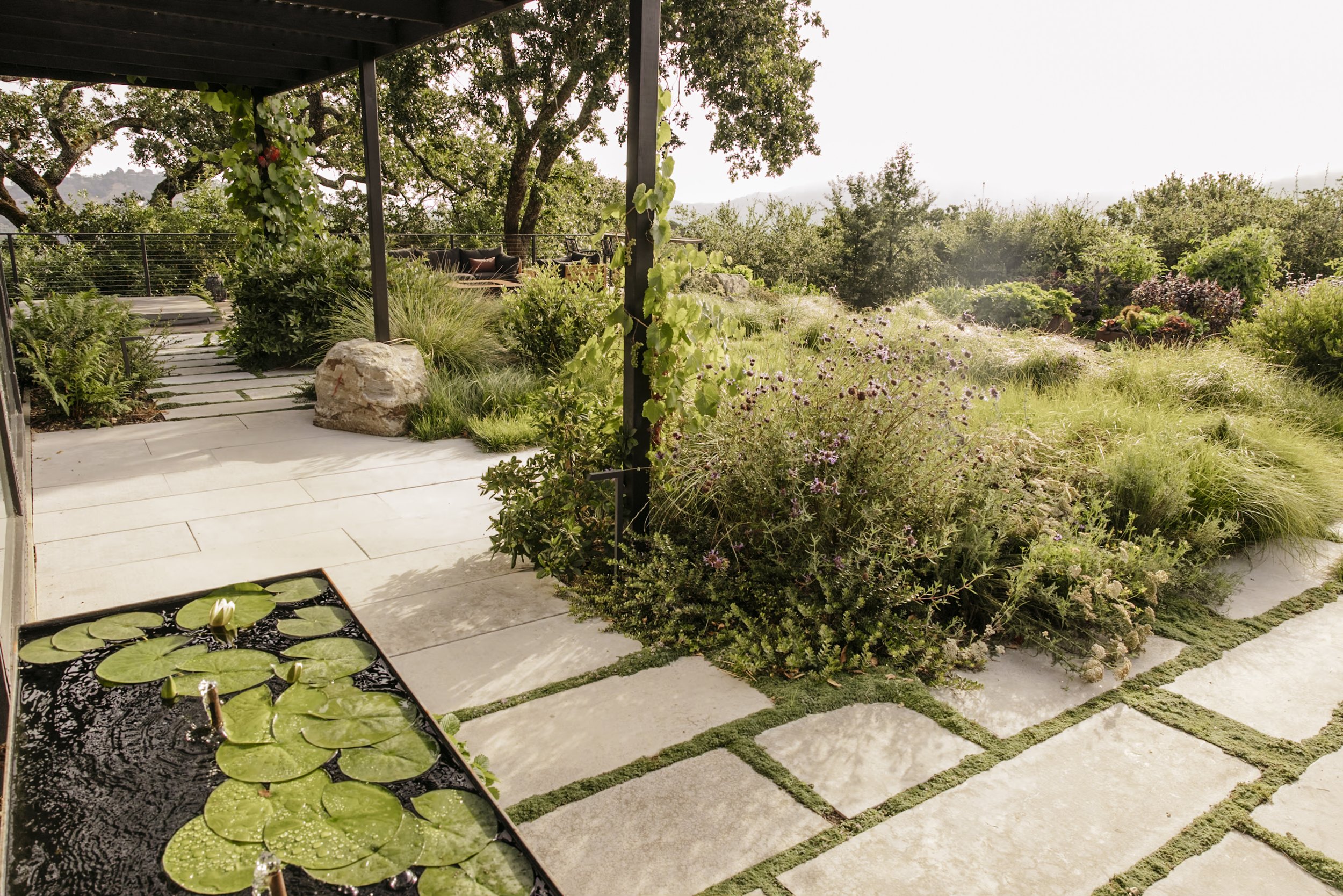 Christian Douglas' own Lush wild garden in San Rafael