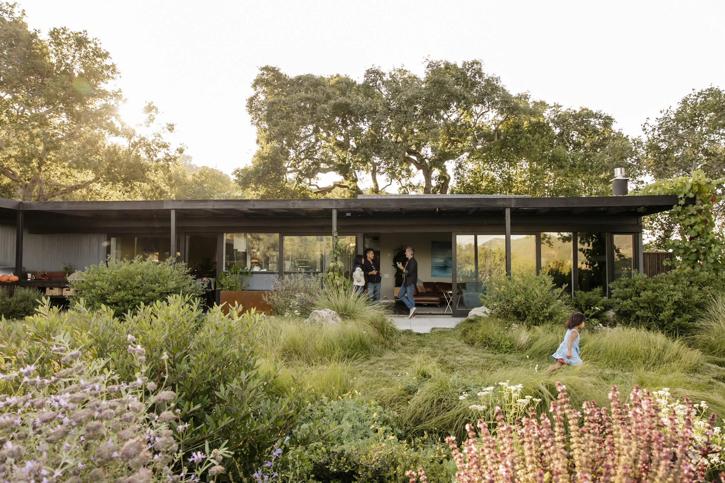 Christian Douglas' own Lush wild garden in San Rafael