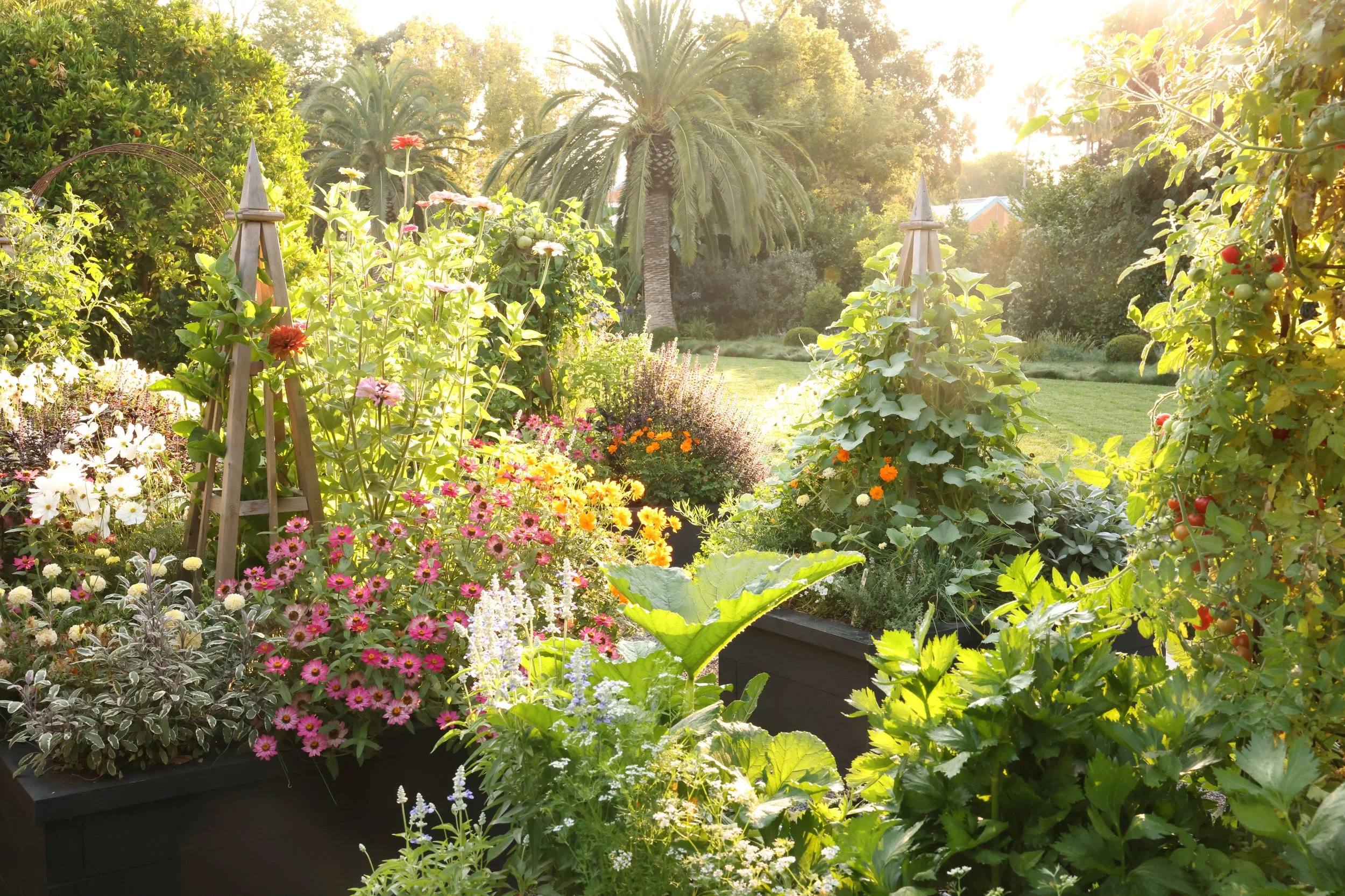 Christian Douglas designed the garden of celebrity chef Tyler Florence in Corte Madera
