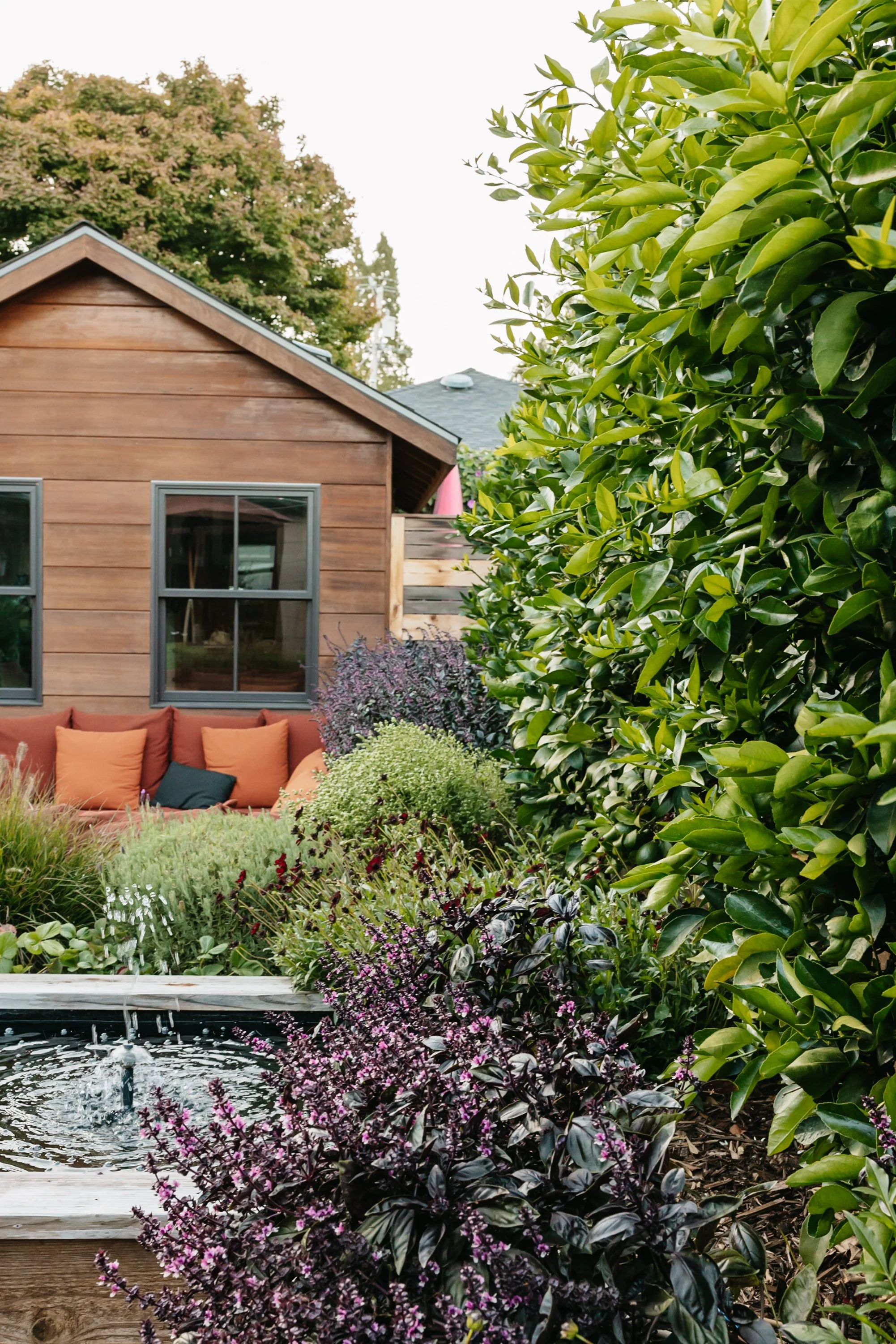 A backyard garden scene with a wooden house, a small pond, flowering plants, and lush green trees and bushes.
