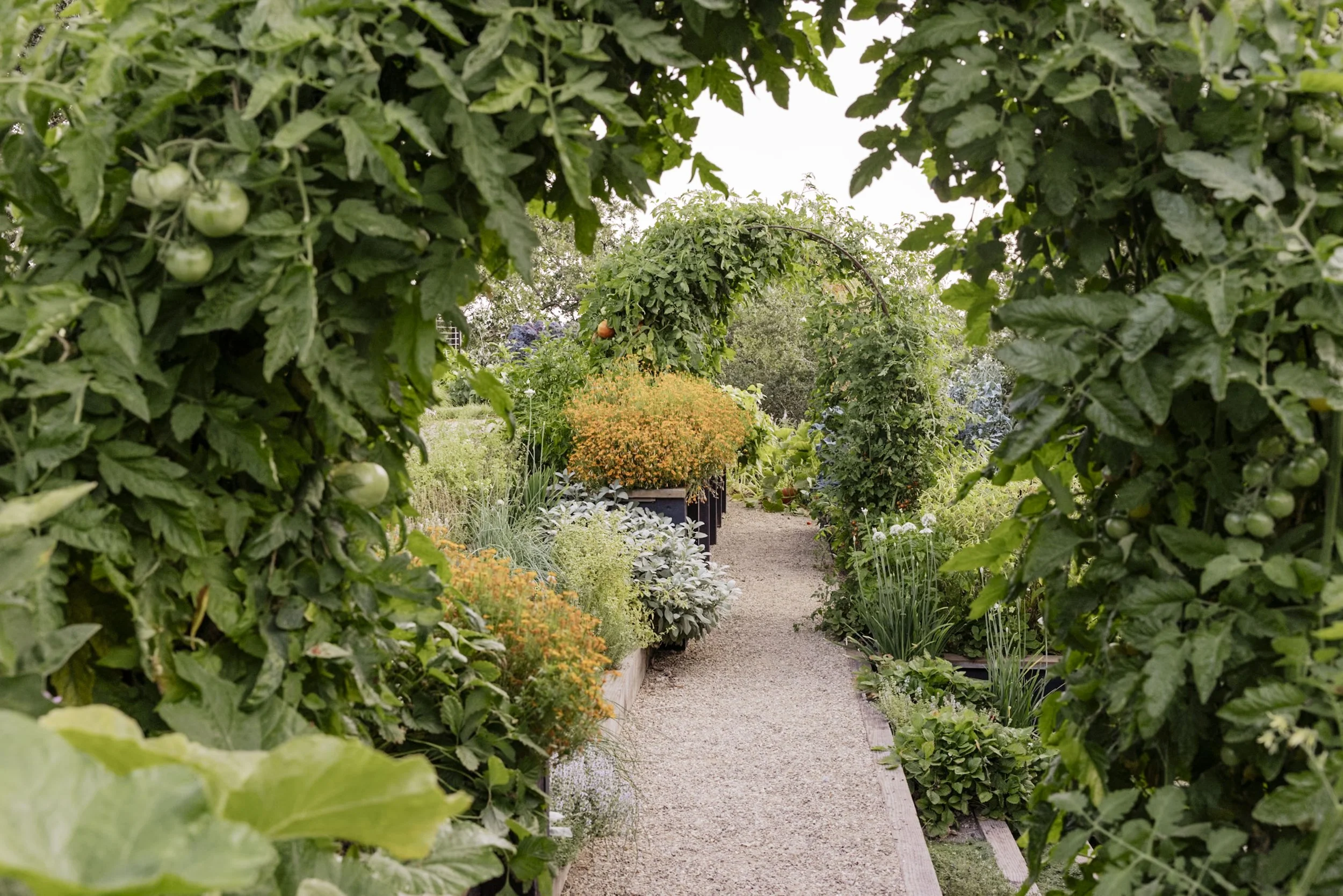 Christian Douglas' own Lush wild garden in San Rafael