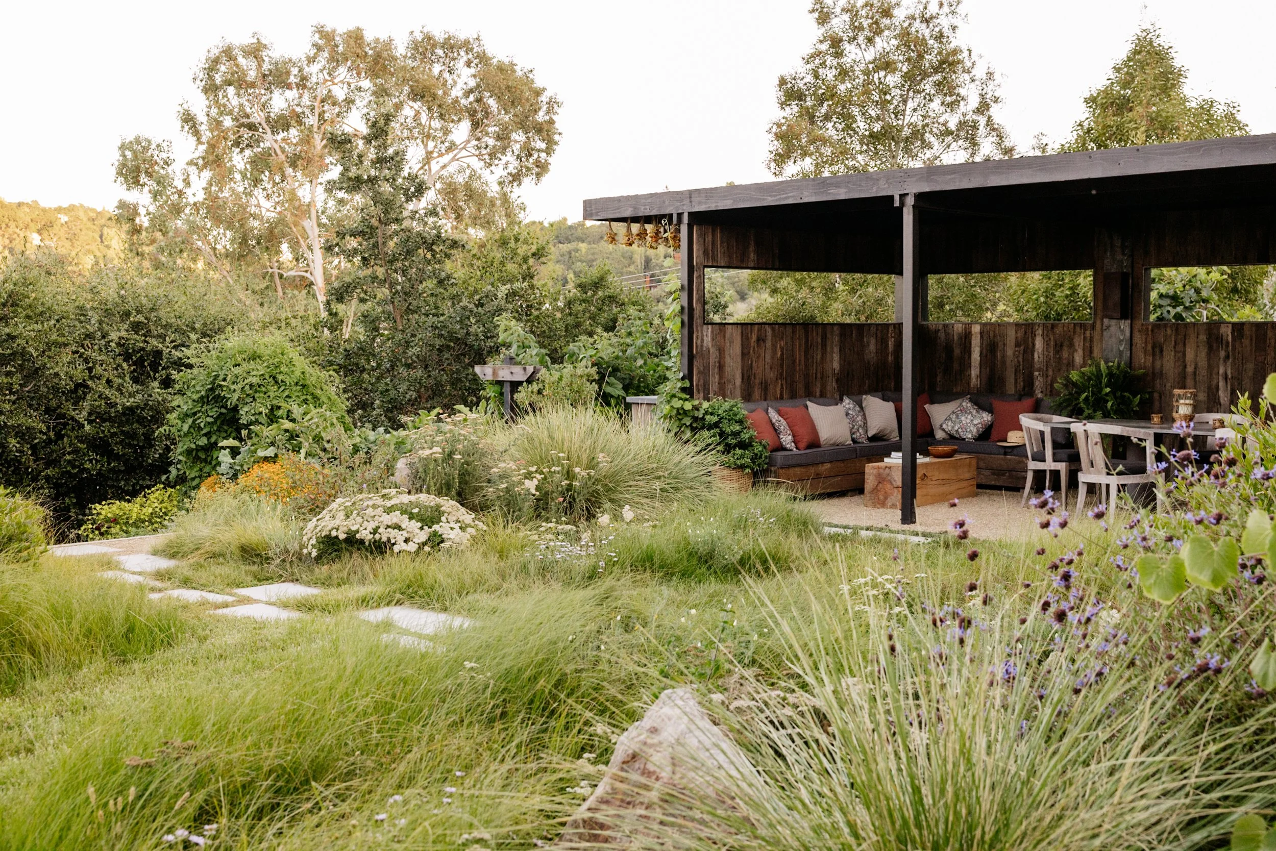 Christian Douglas'wild and lush own garden in San Rafael