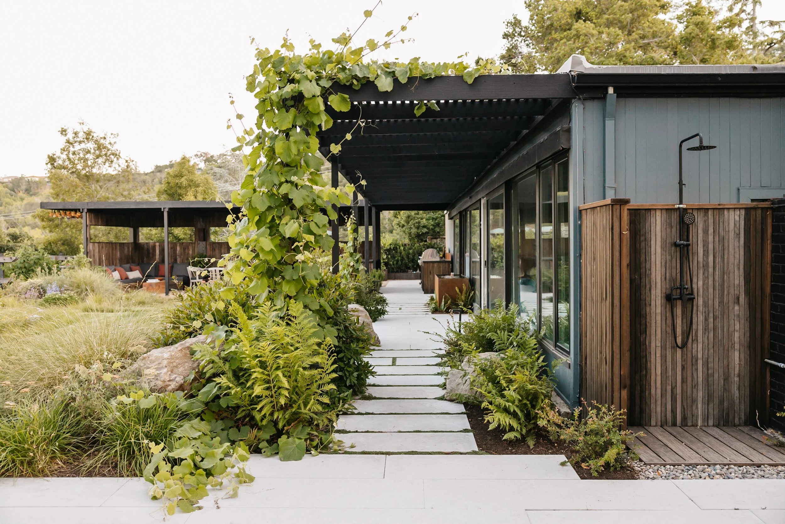 Christian Douglas' own Lush wild garden in San Rafael