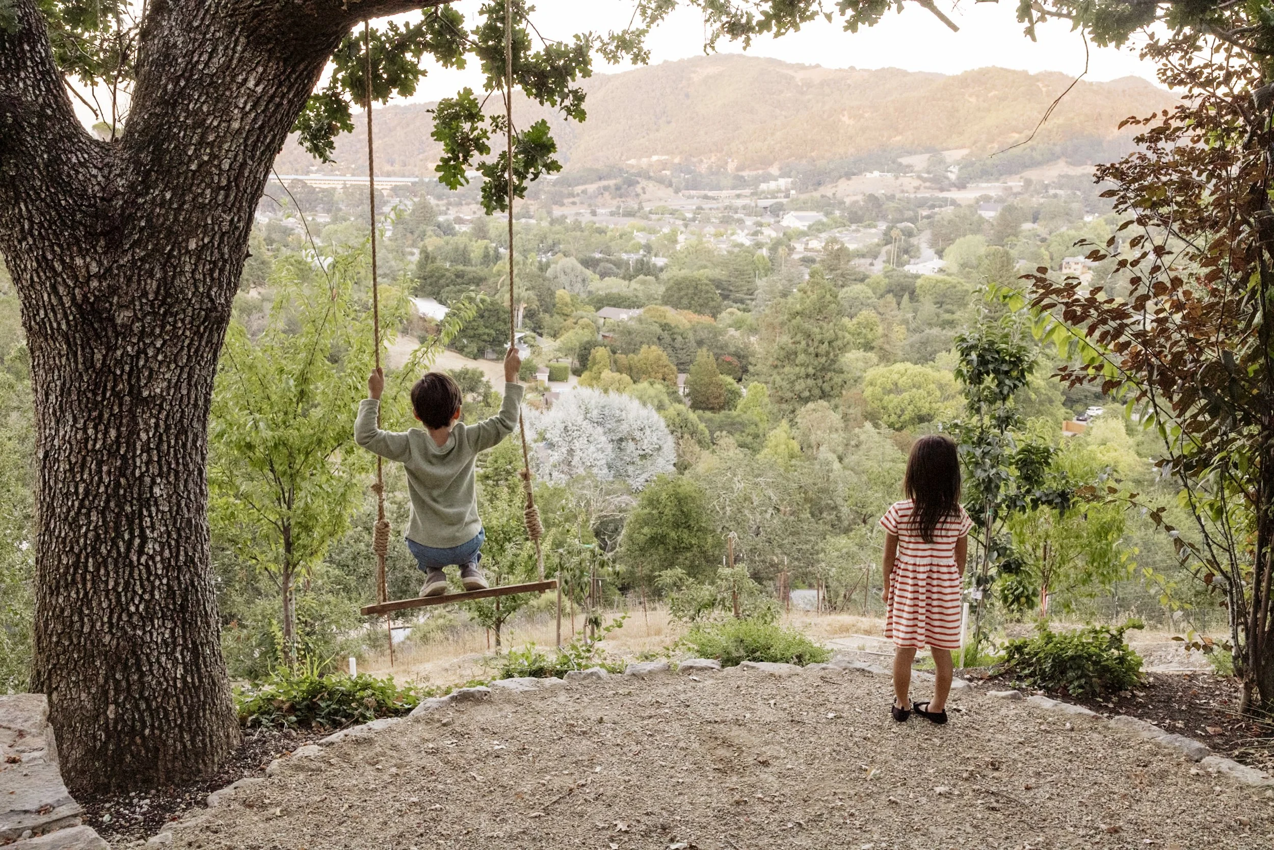 Christian Douglas' own Lush wild garden in San Rafael