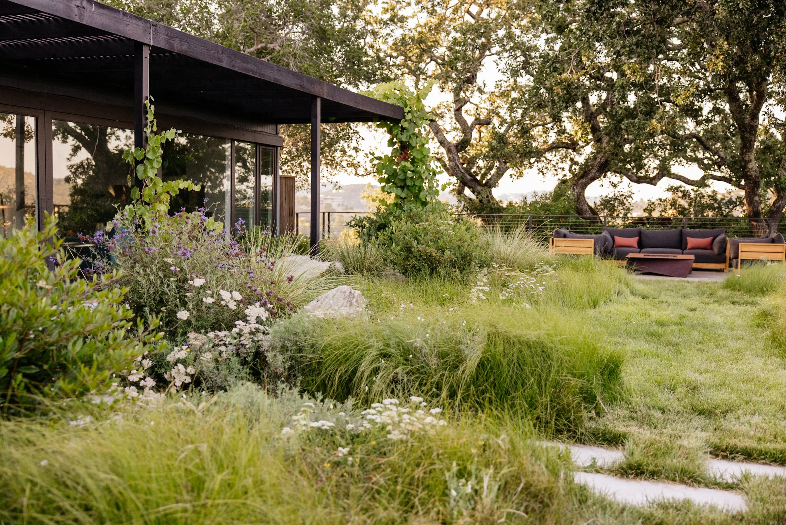 Christian Douglas' own Lush wild garden in San Rafael