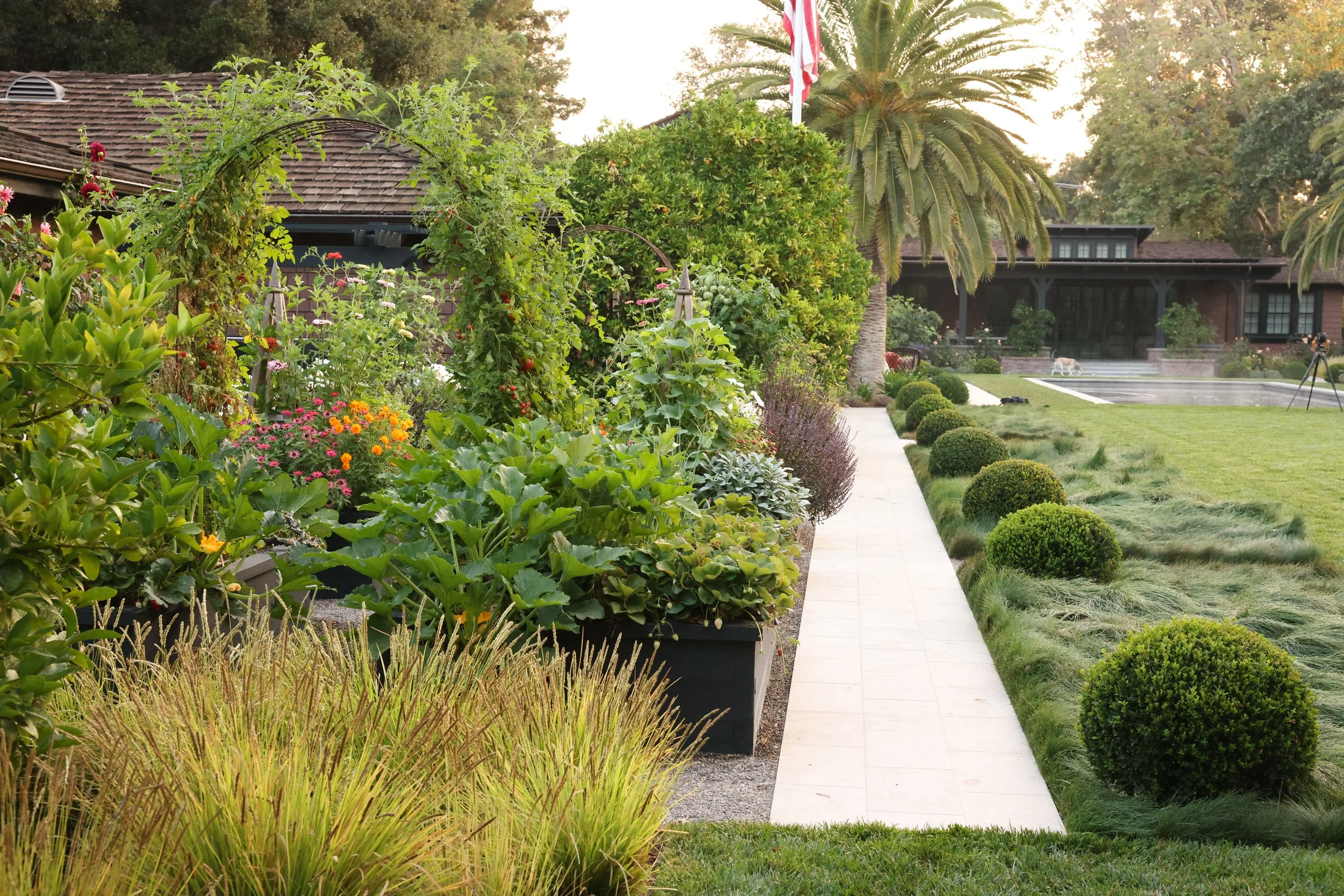 A well-maintained backyard garden with various flowering plants, green shrubs, and trees including a palm. A white pathway runs through the garden leading to a house with a porch, and there is a American flag on a flagpole. The background shows a hou