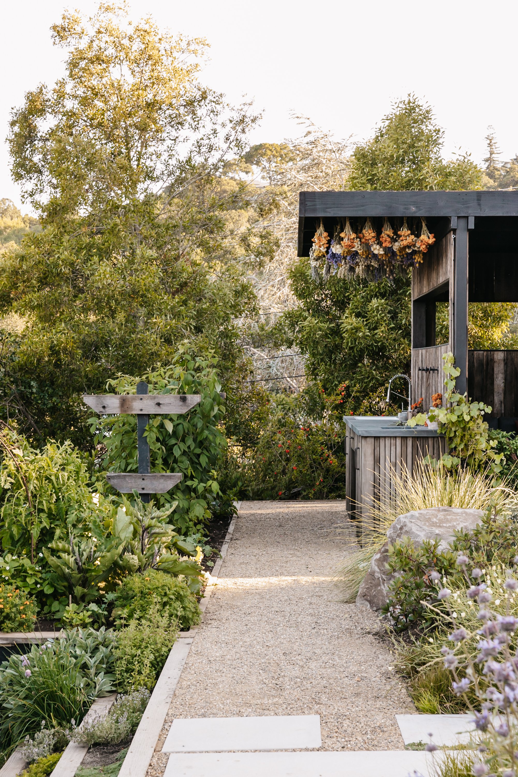 Christian Douglas' own Lush wild garden in San Rafael