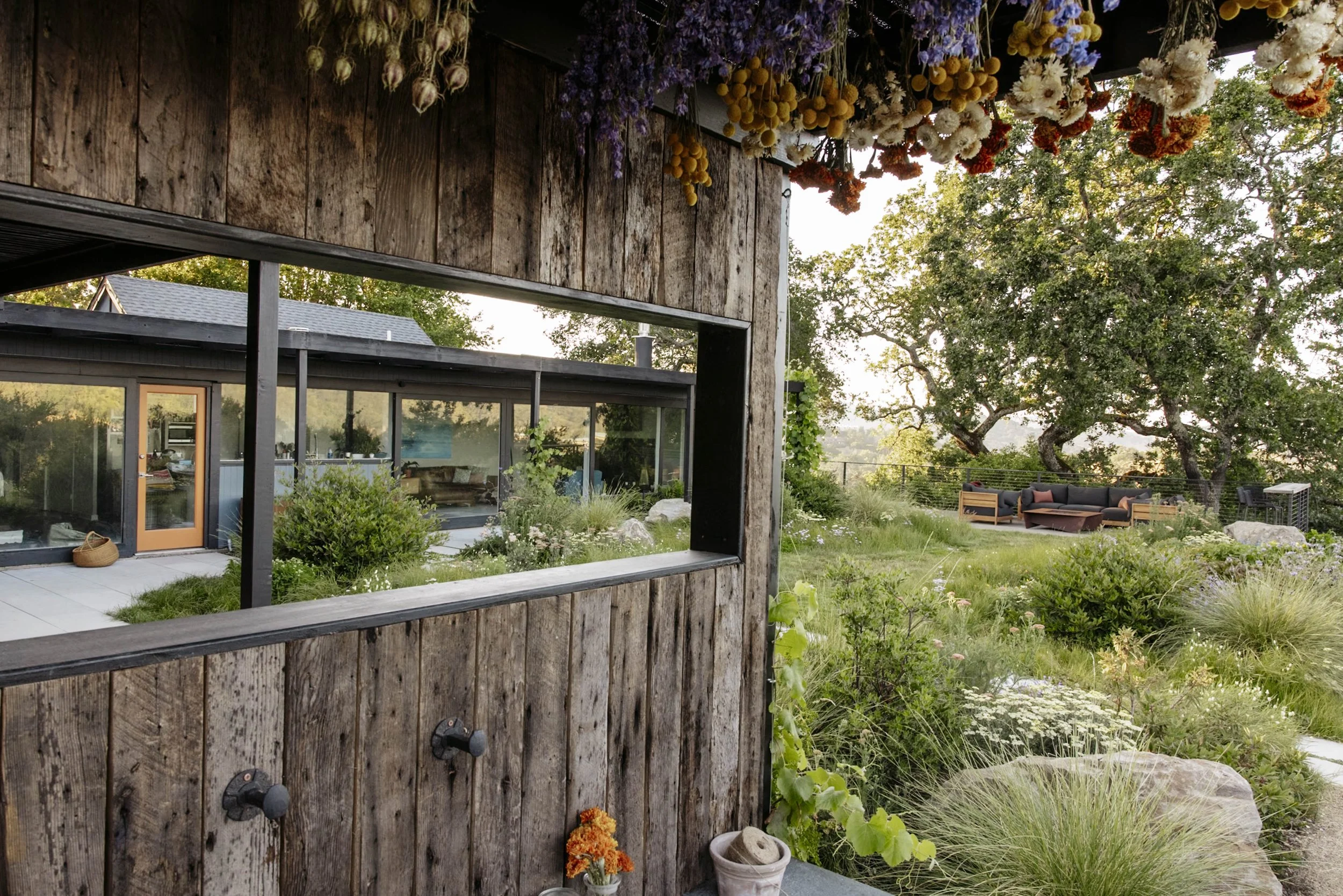 Christian Douglas' own Lush wild garden in San Rafael