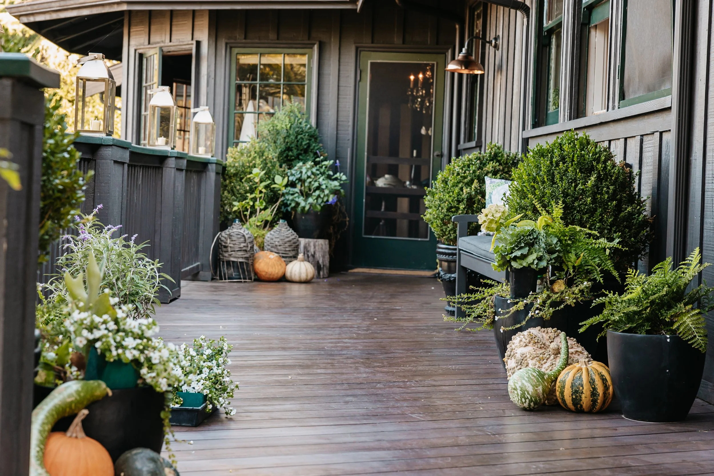 A cozy outdoor porch decorated with potted plants, pumpkins, and lanterns, attached to a rustic house with dark wooden siding and a screened door.
